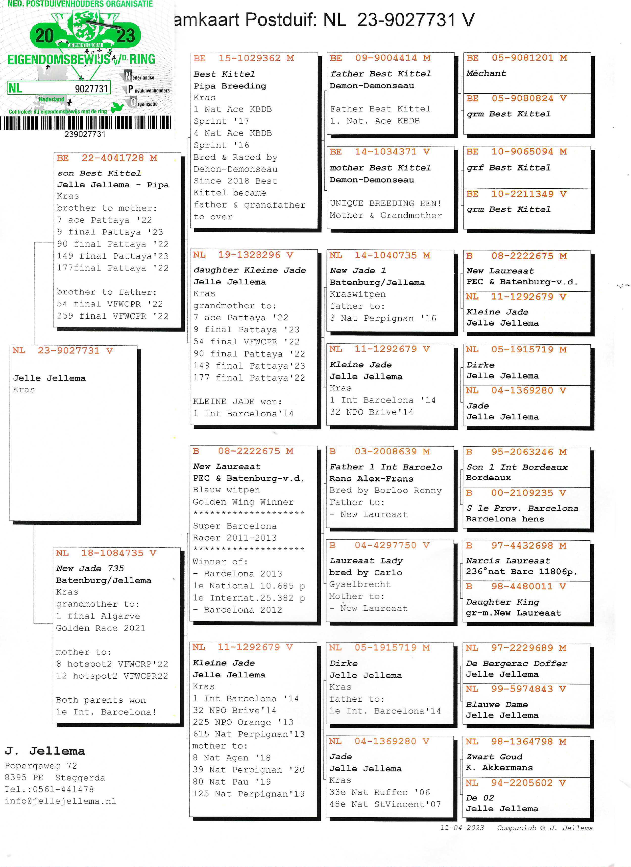 Pigeon pedigree image