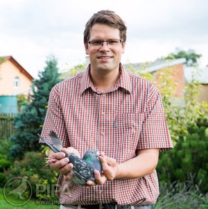Pigeon image