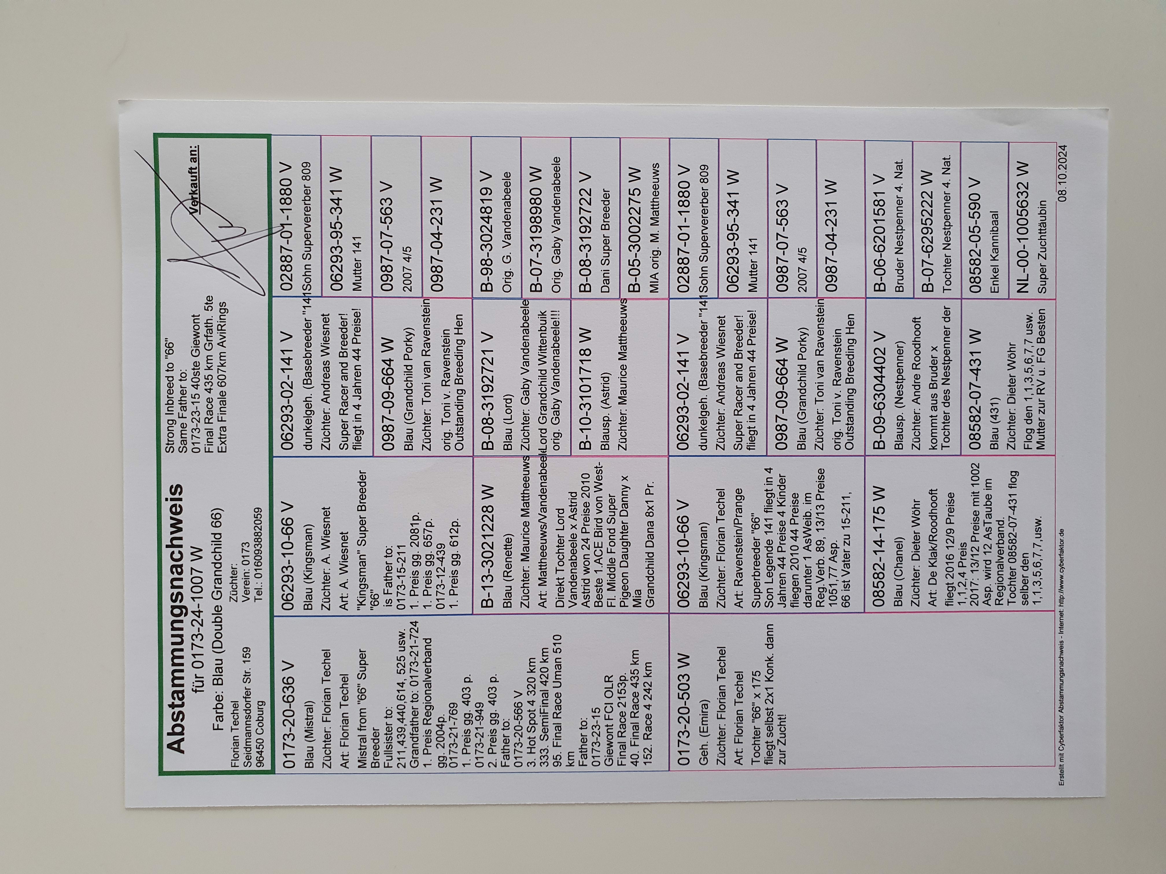 Pigeon pedigree image