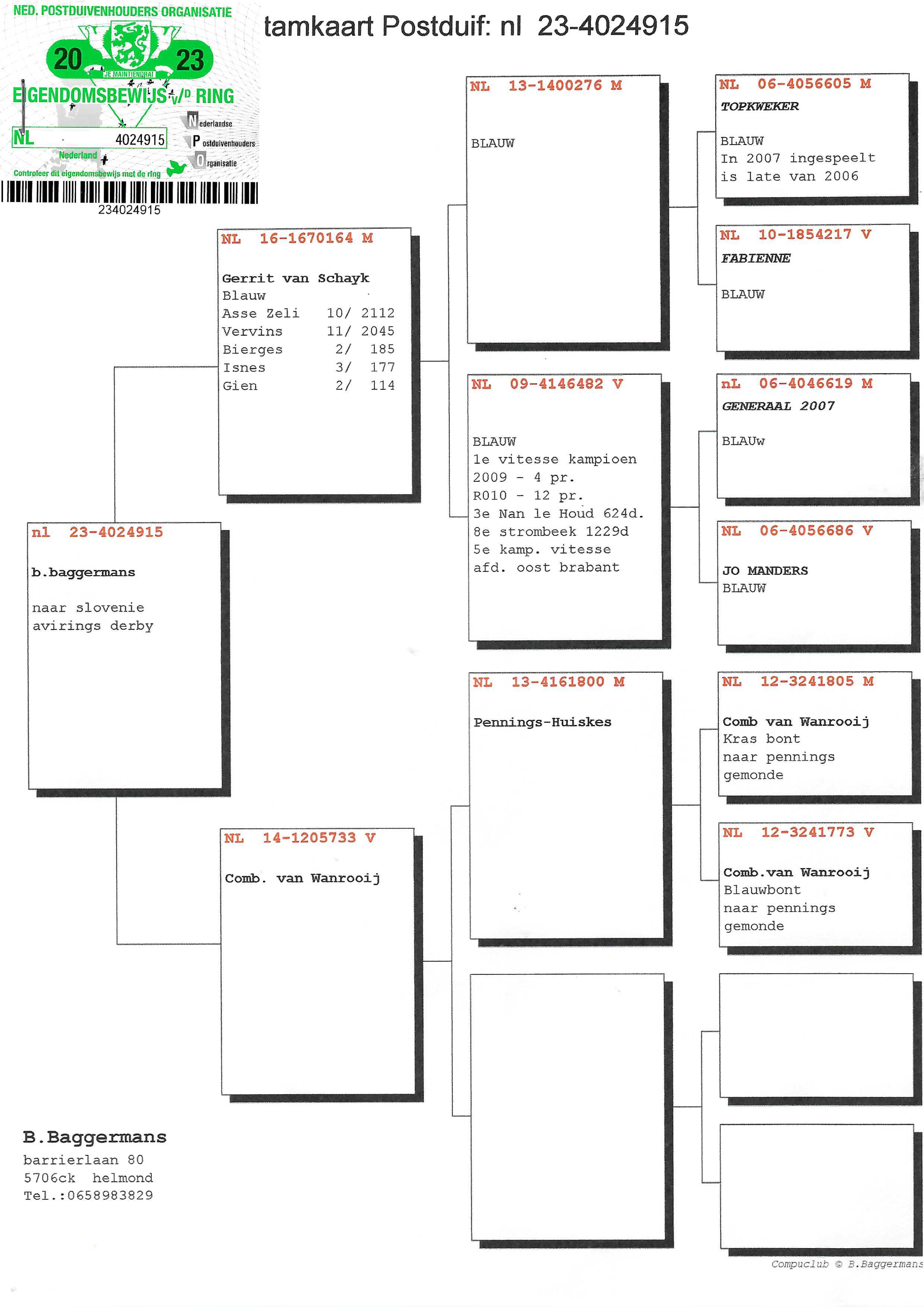 Pigeon pedigree image