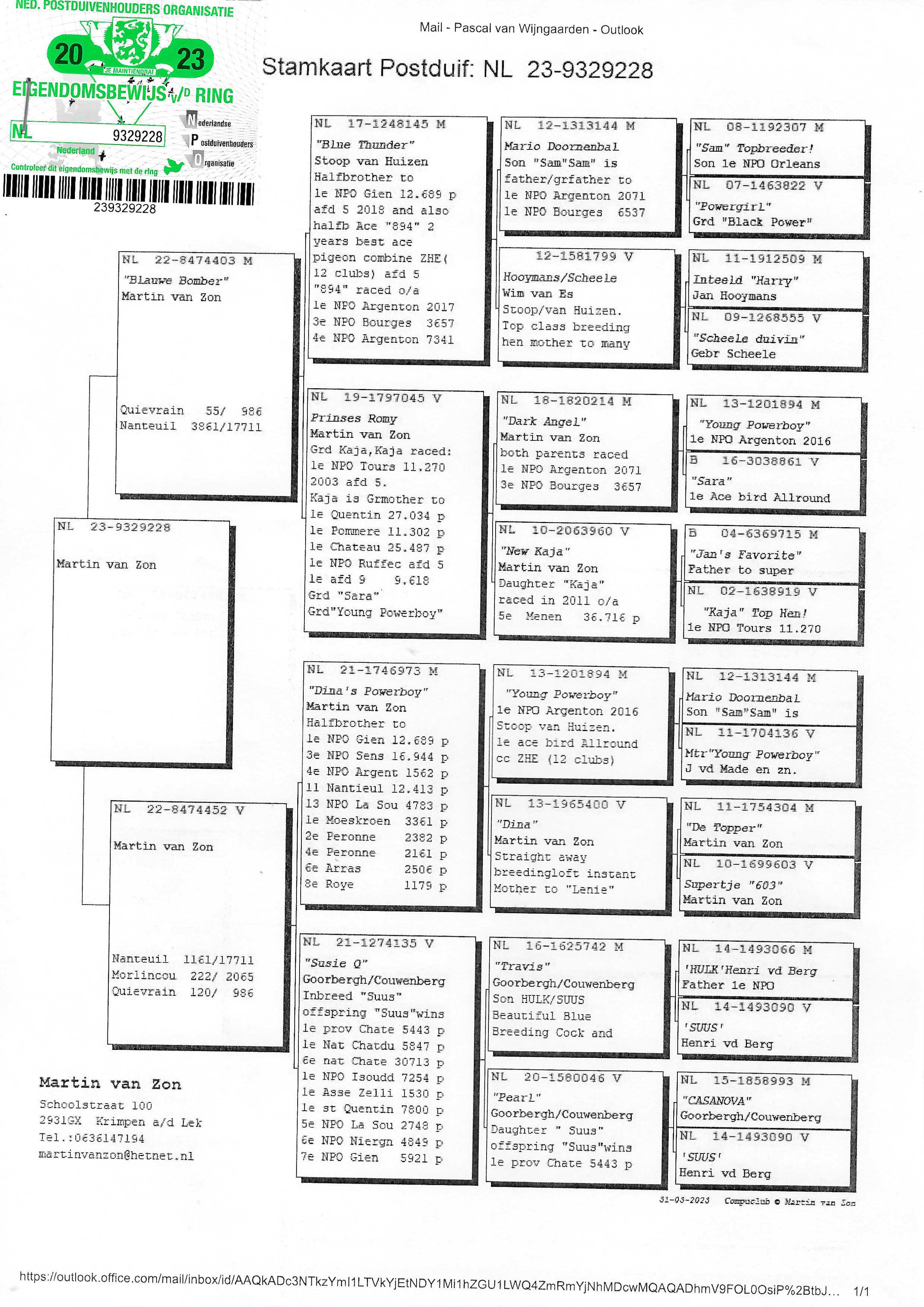 Pigeon pedigree image