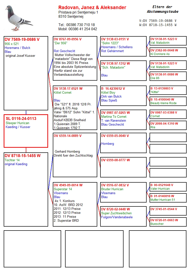 Pigeon pedigree image