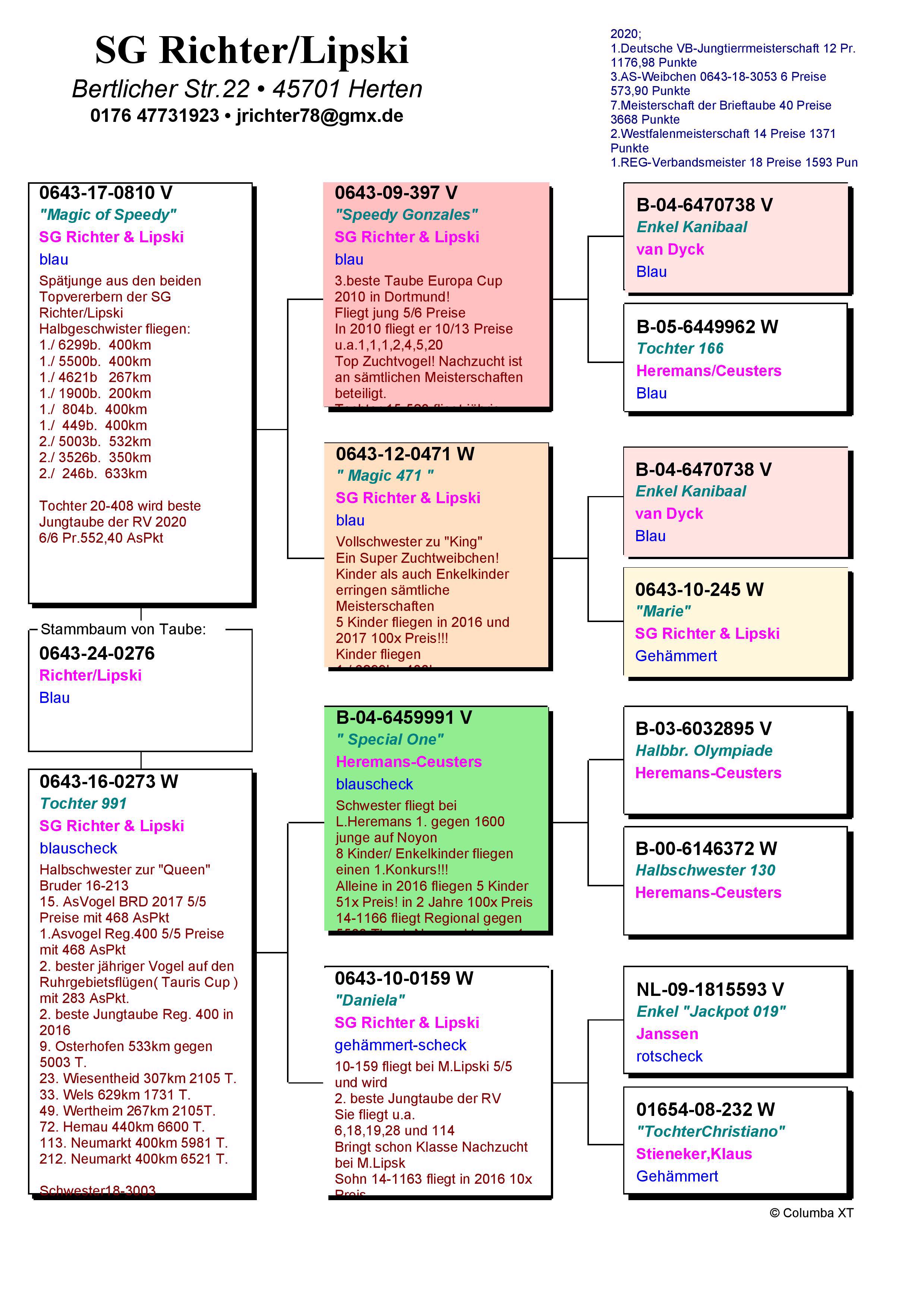 Pigeon pedigree image
