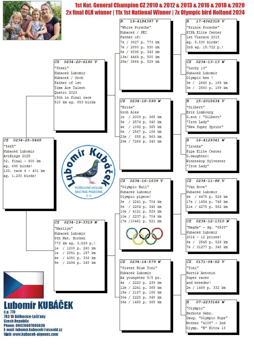Pigeon pedigree image