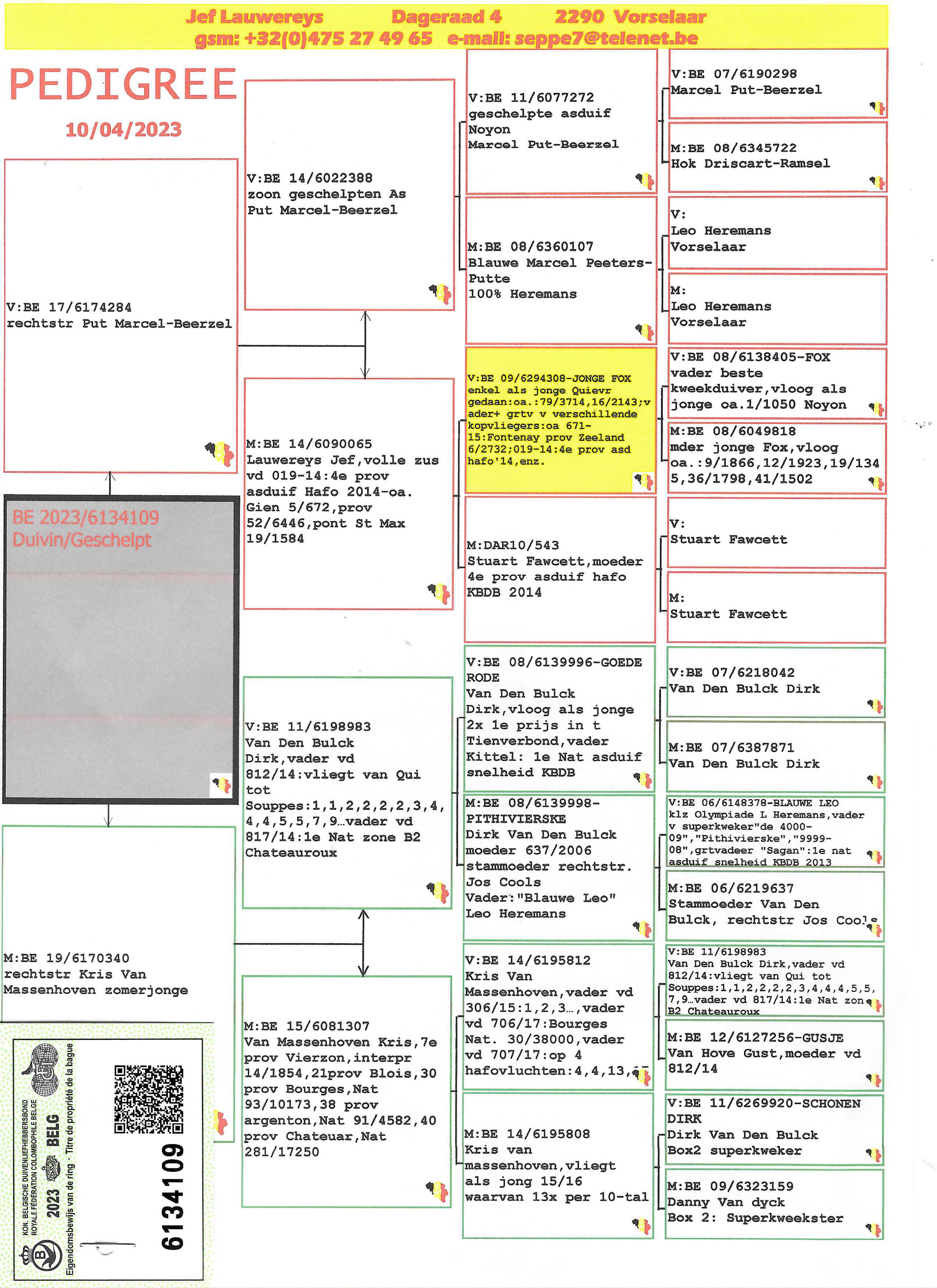 Pigeon pedigree image