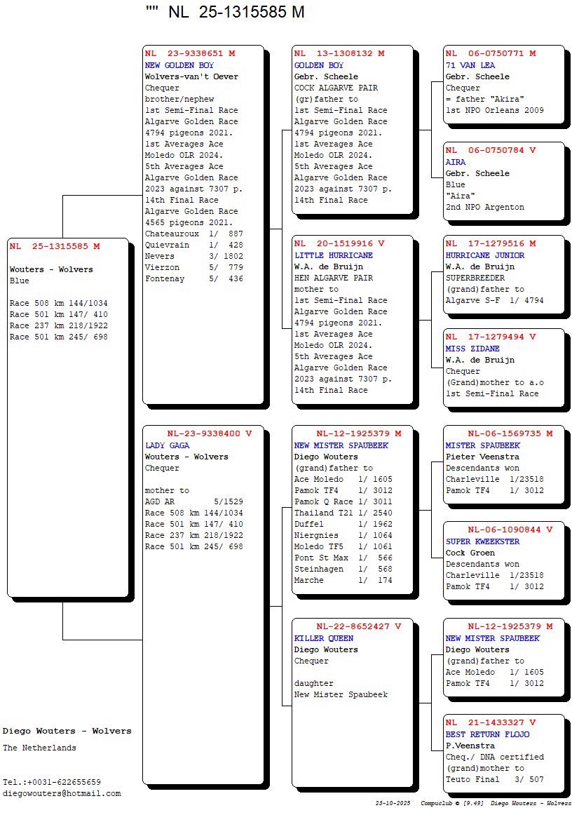 Pigeon pedigree image