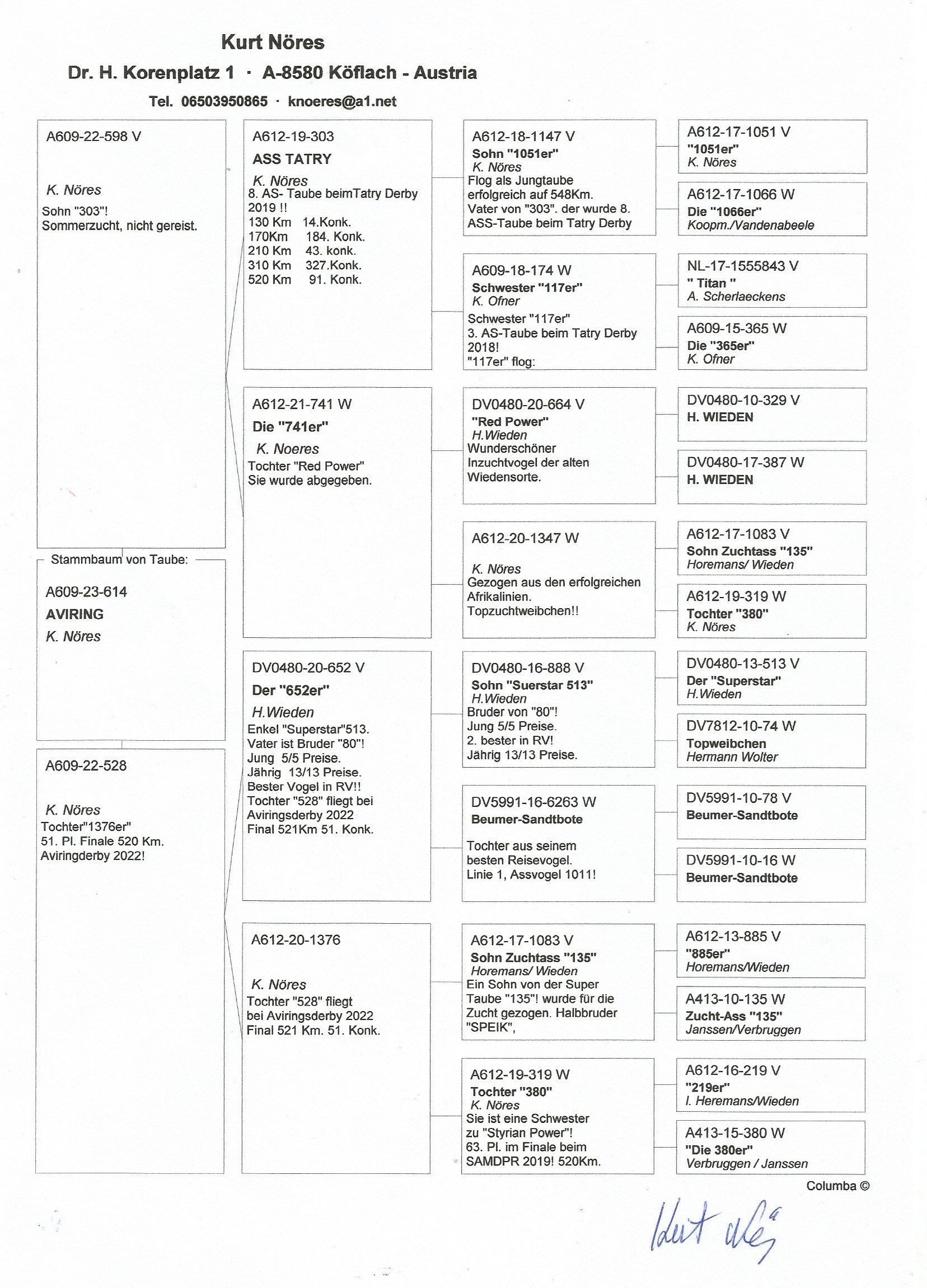 Pigeon pedigree image