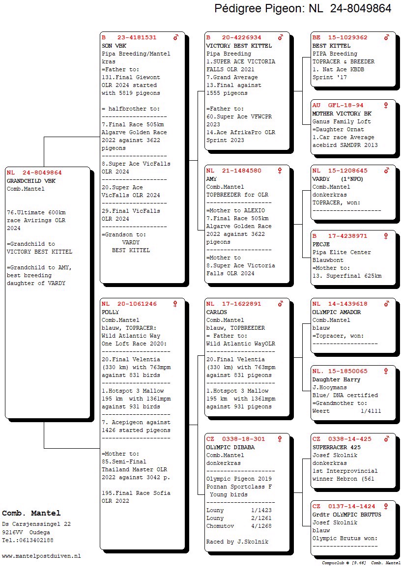 Pigeon pedigree image