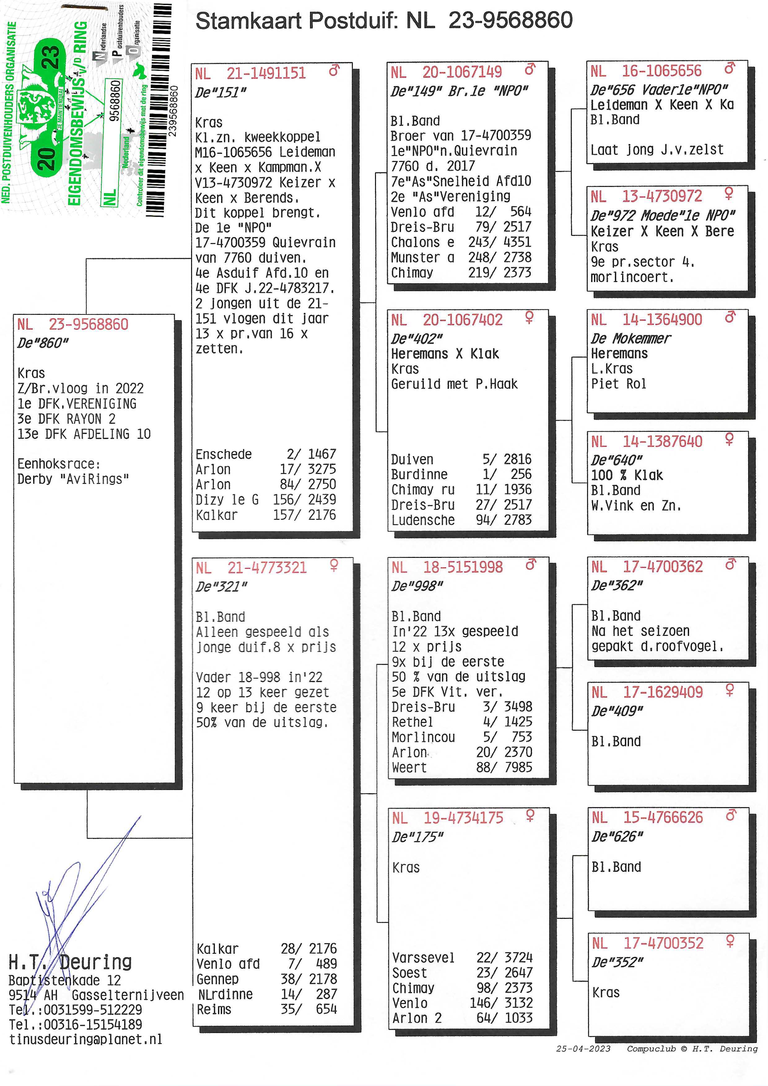 Pigeon pedigree image