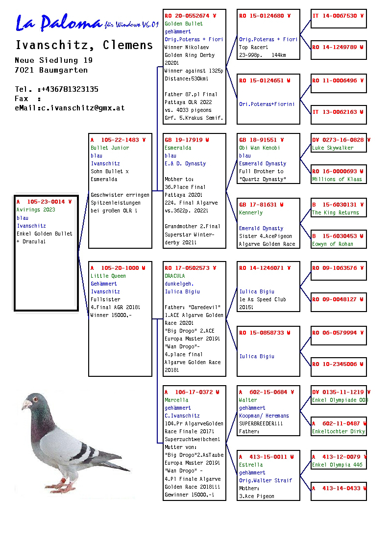 Pigeon pedigree image