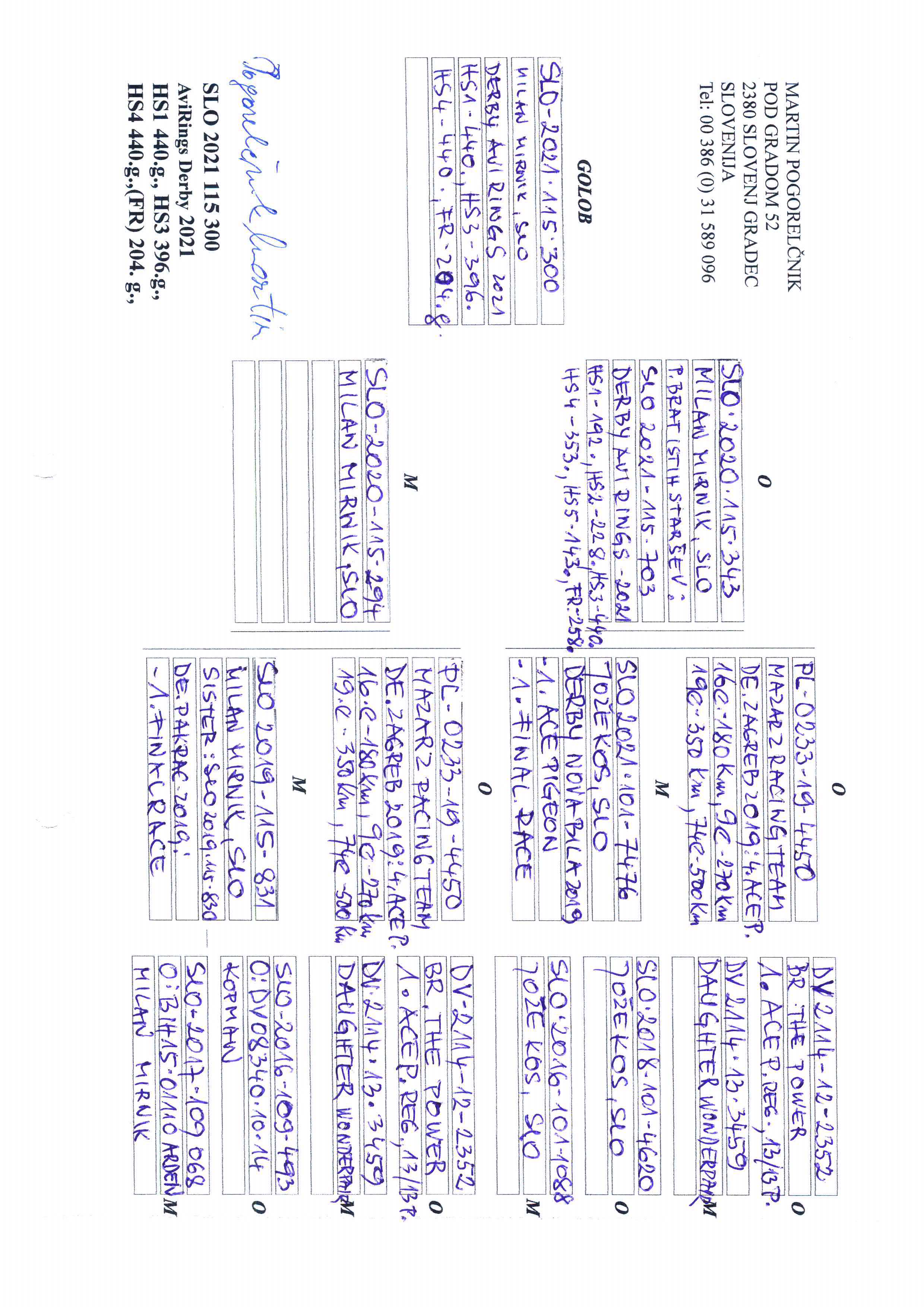 Pigeon pedigree image