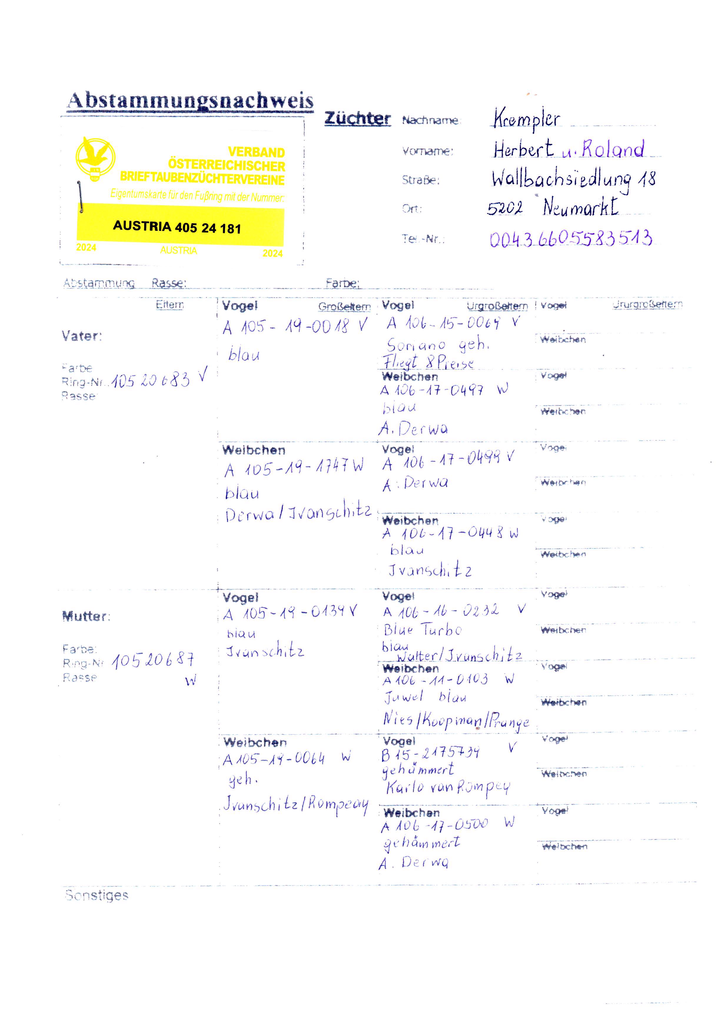 Pigeon pedigree image