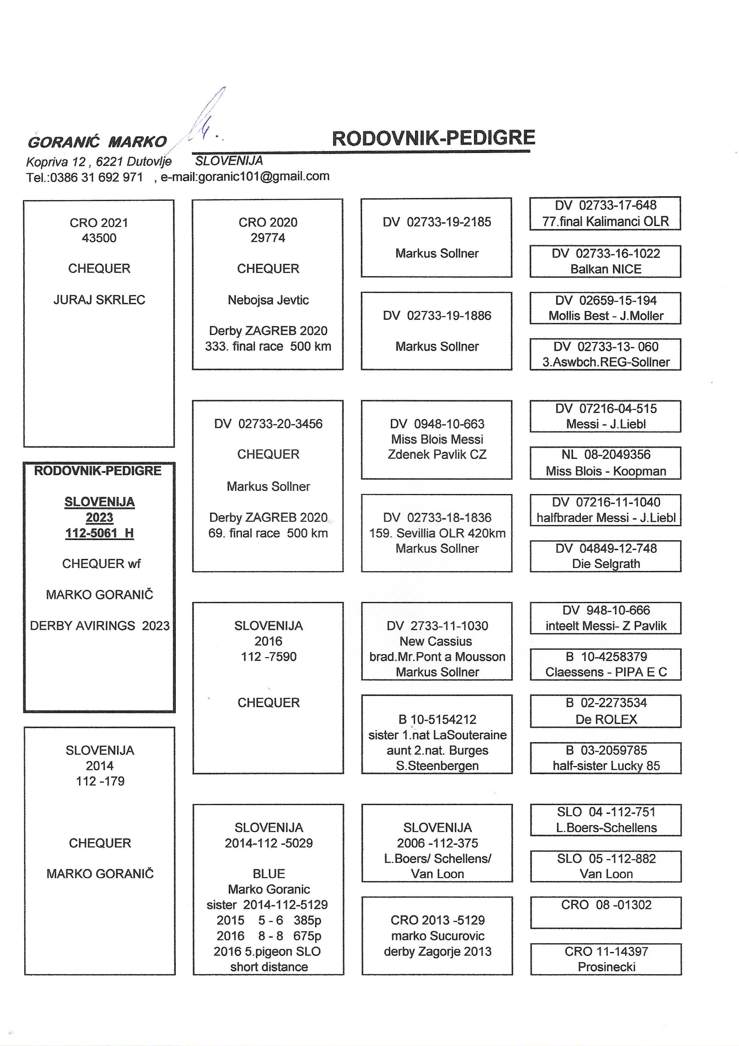 Pigeon pedigree image