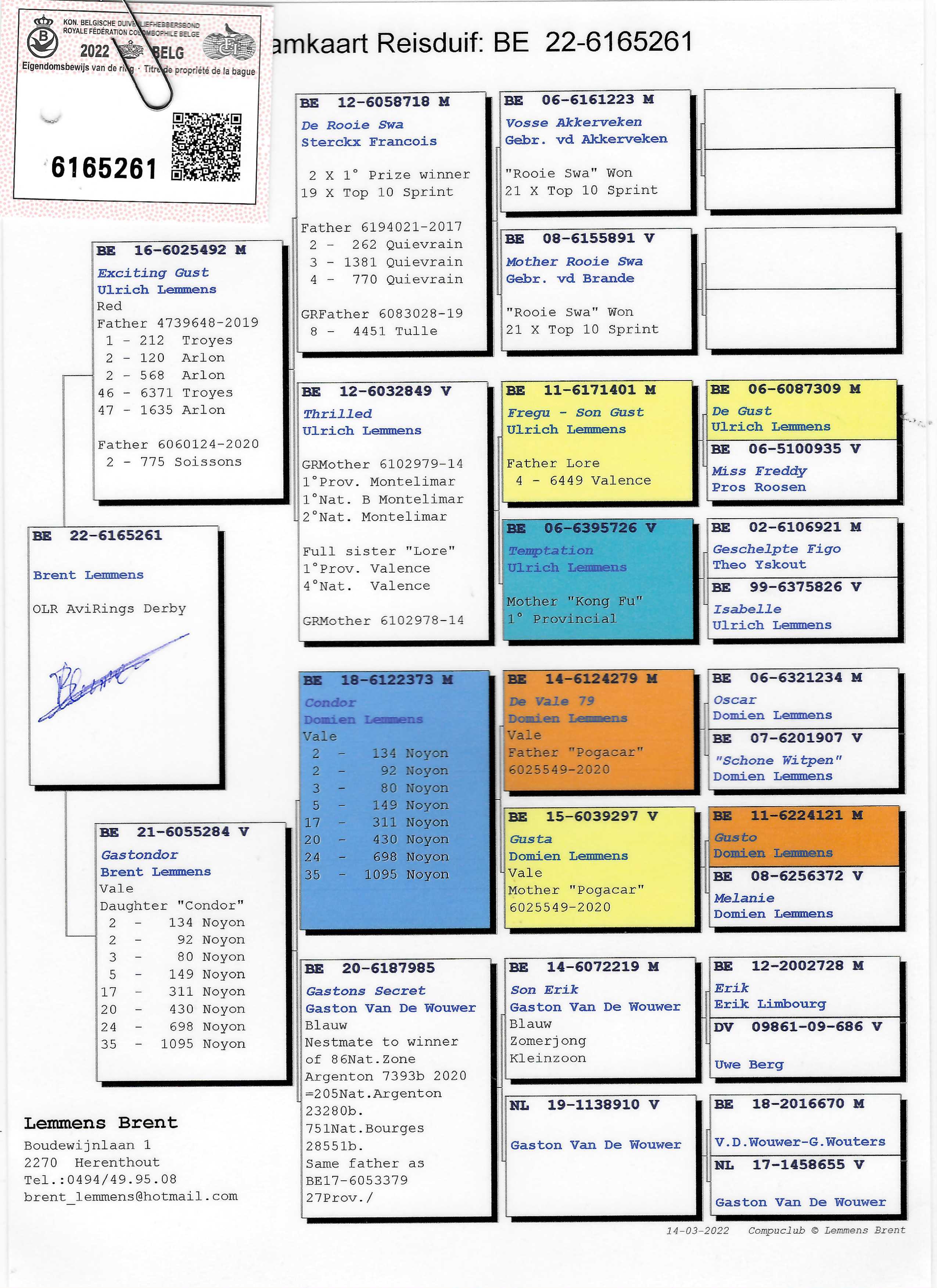 Pigeon pedigree image