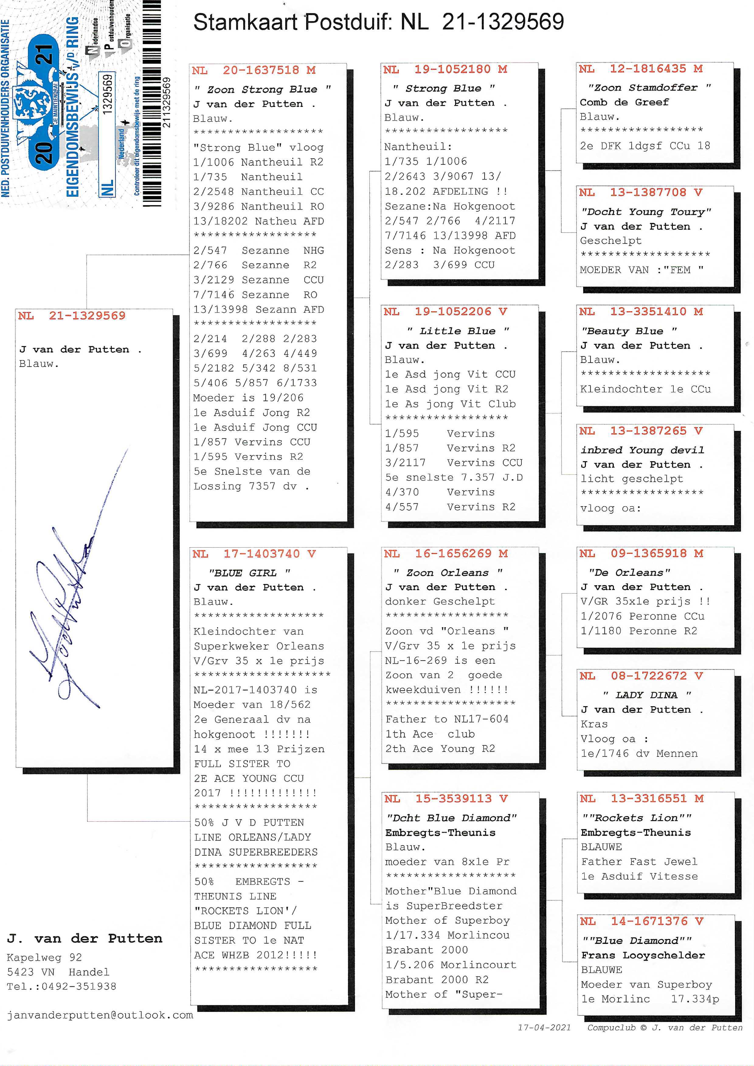 Pigeon pedigree image