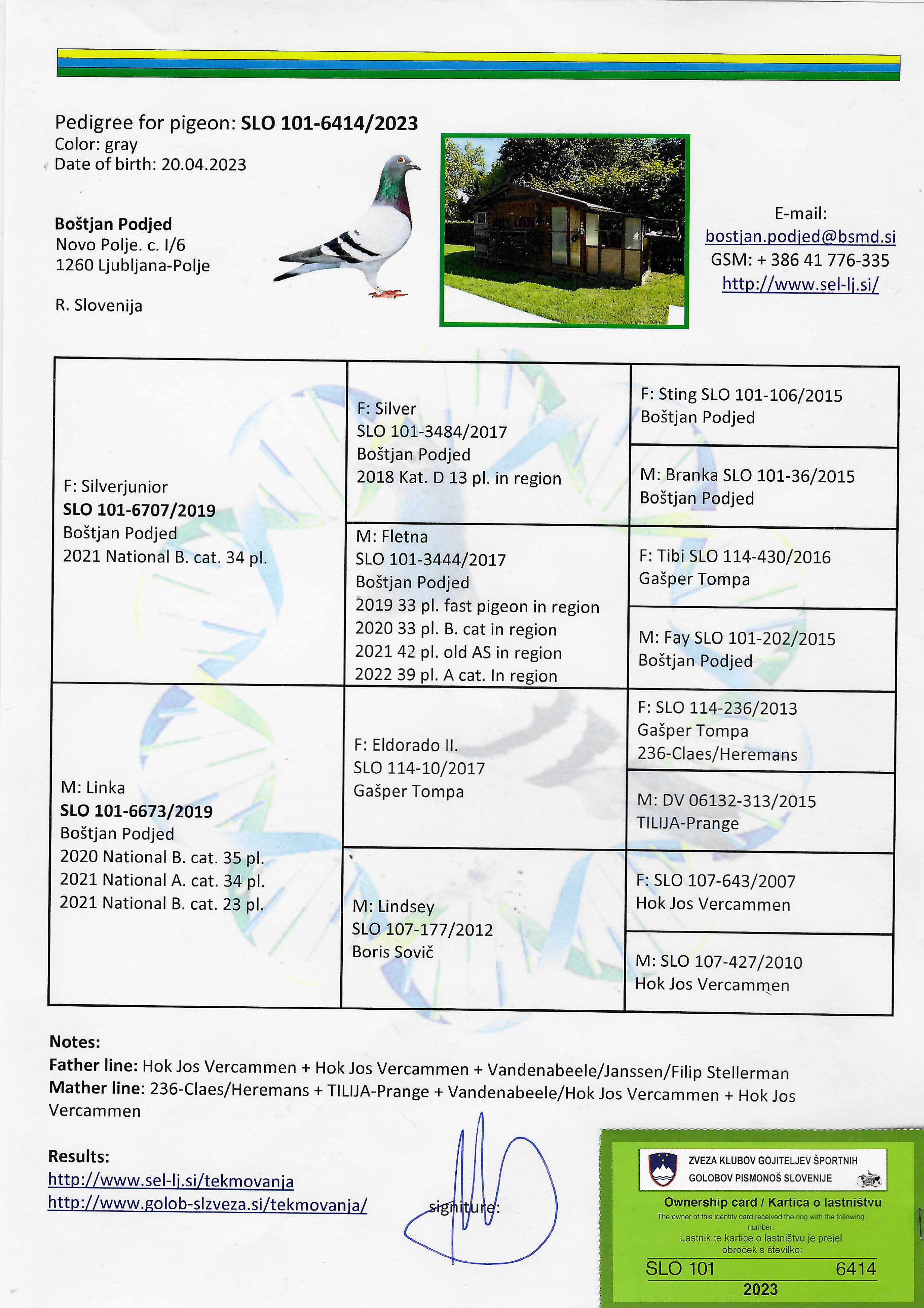 Pigeon pedigree image