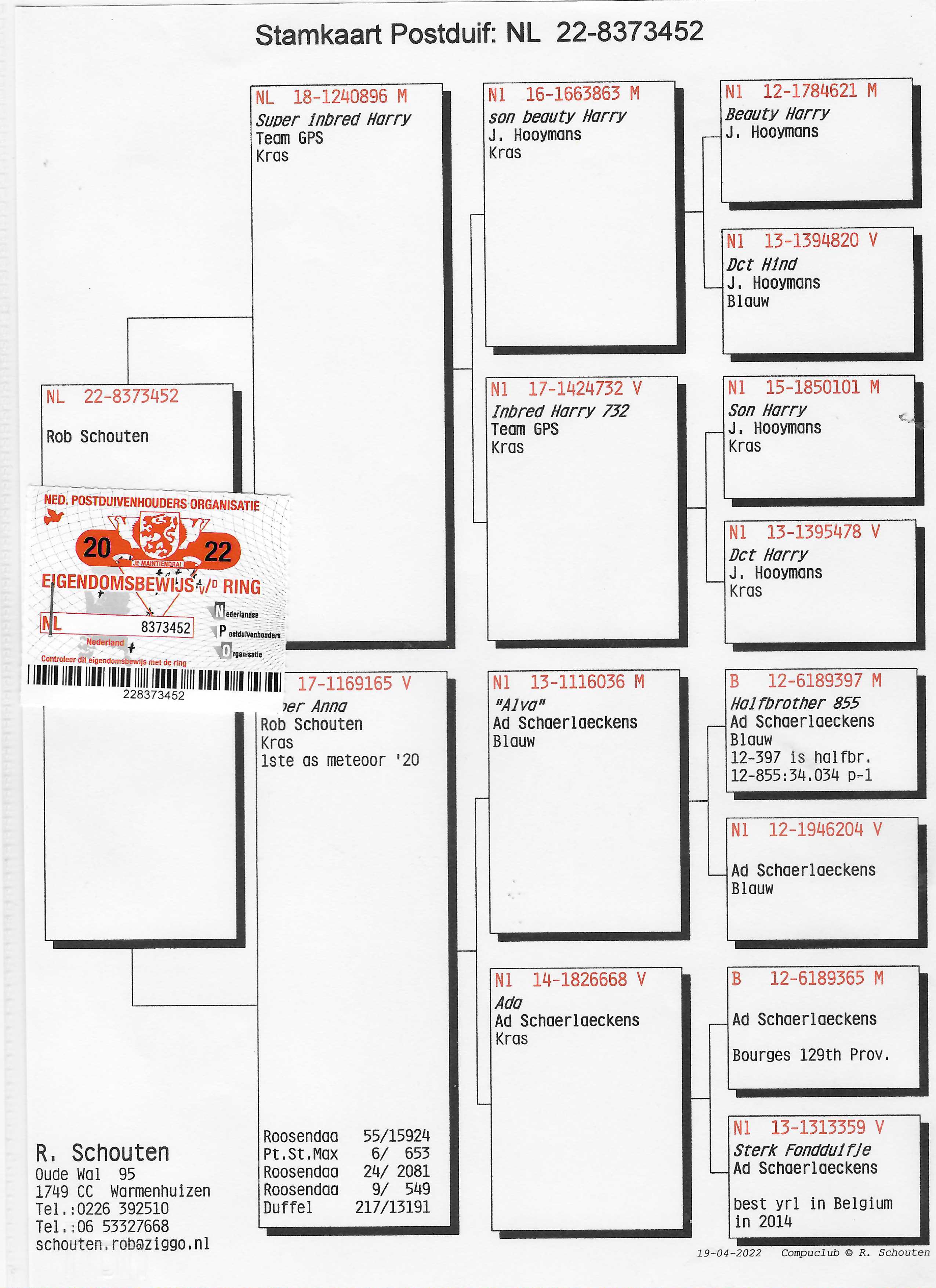 Pigeon pedigree image