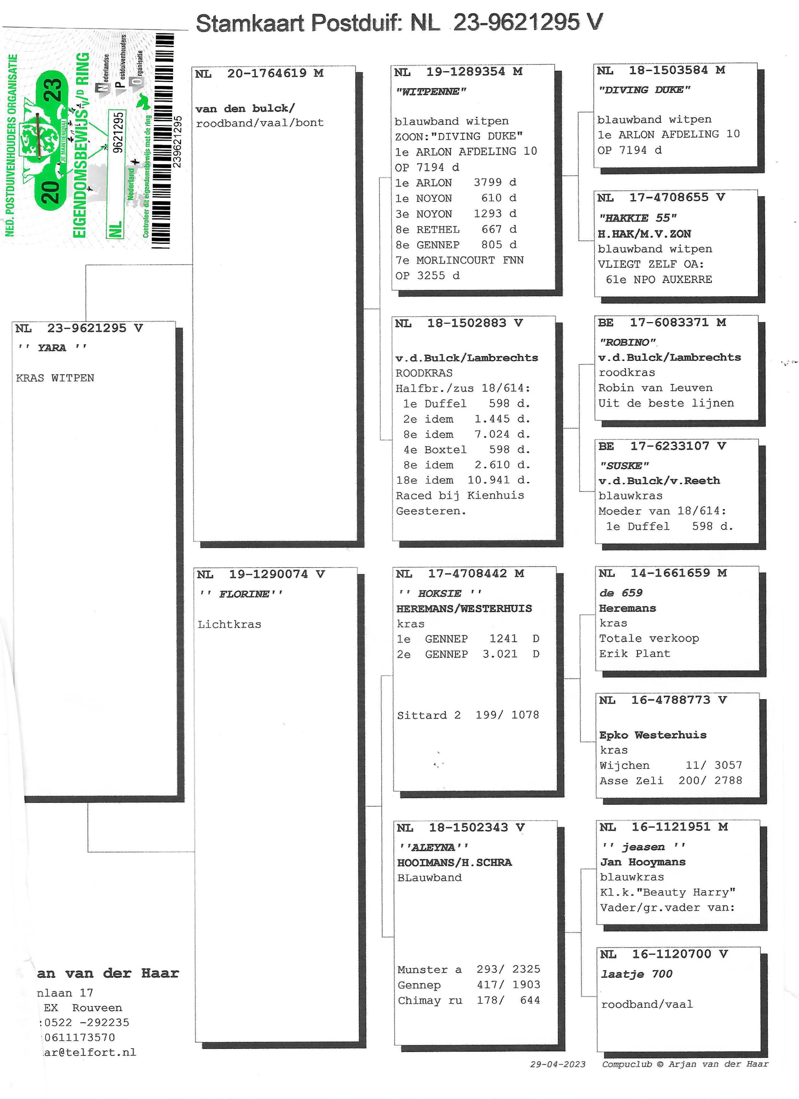 Pigeon pedigree image