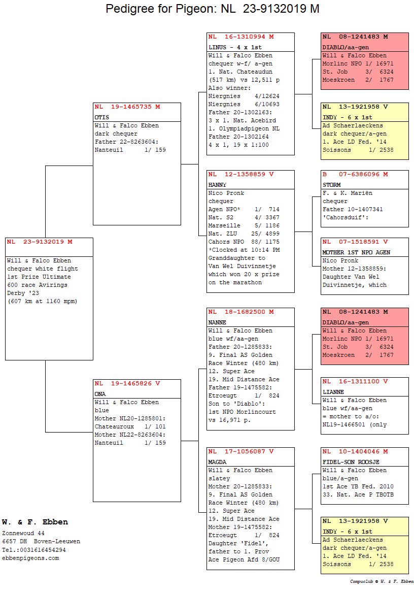 Pigeon pedigree image