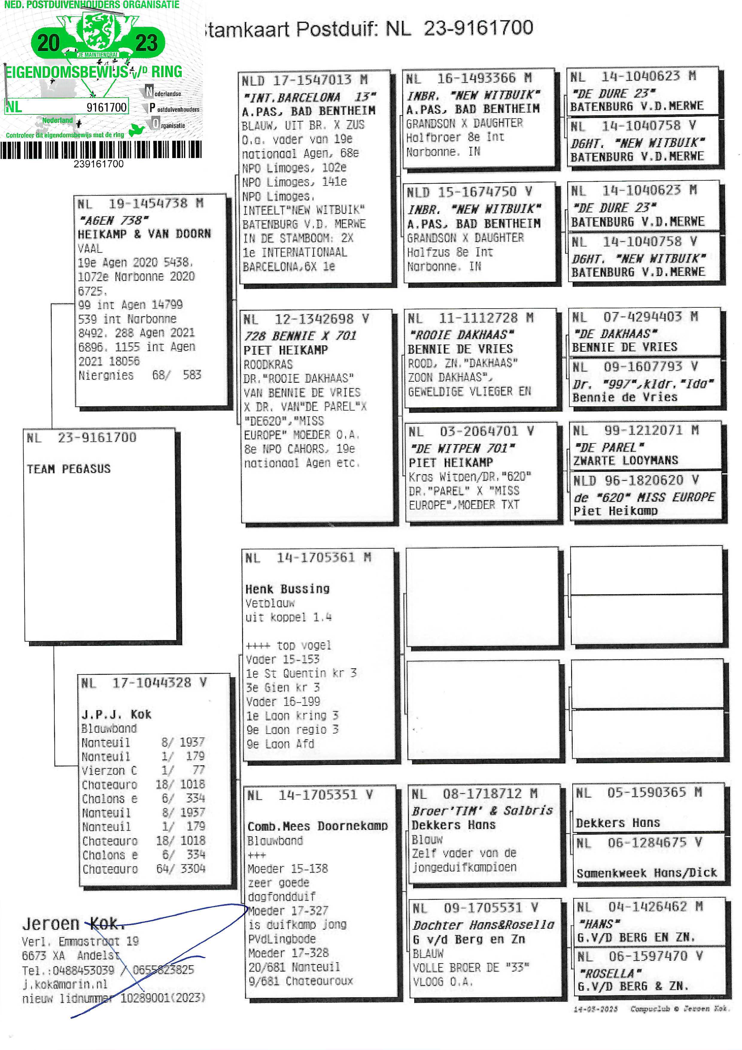 Pigeon pedigree image