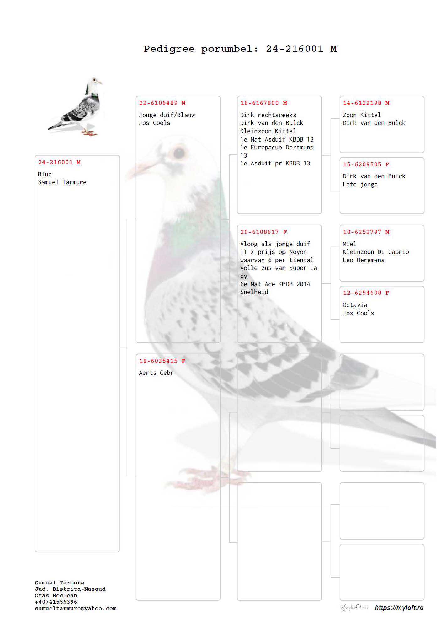 Pigeon pedigree image