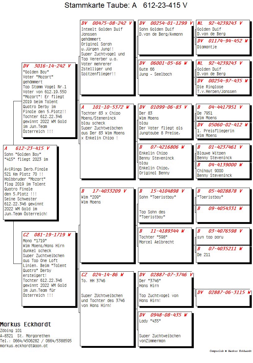 Pigeon pedigree image