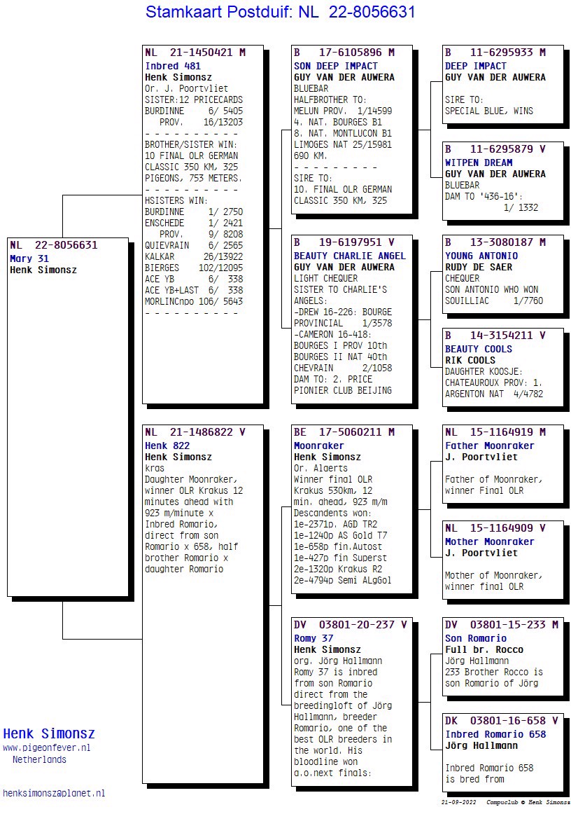 Pigeon pedigree image