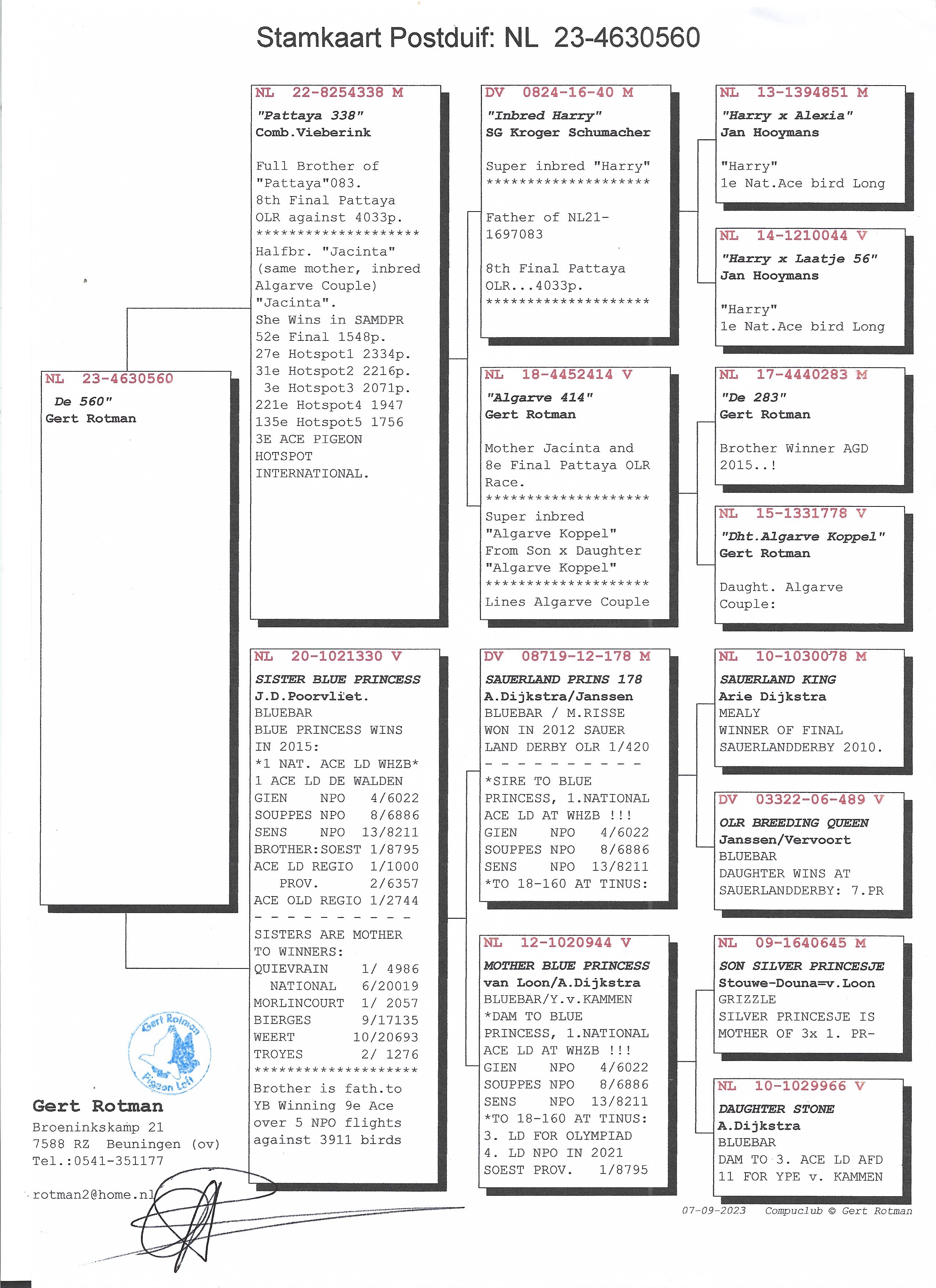 Pigeon pedigree image