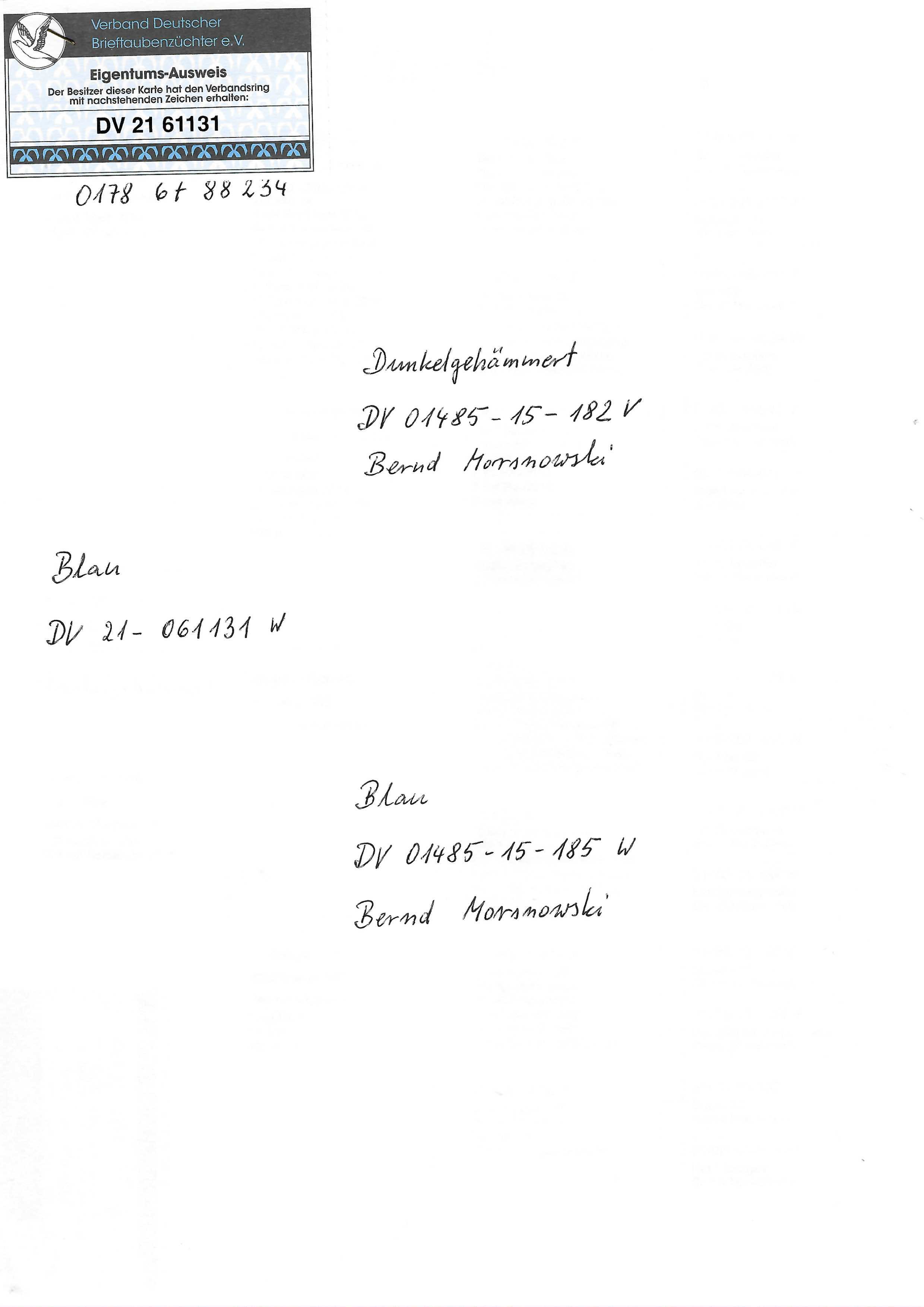 Pigeon pedigree image