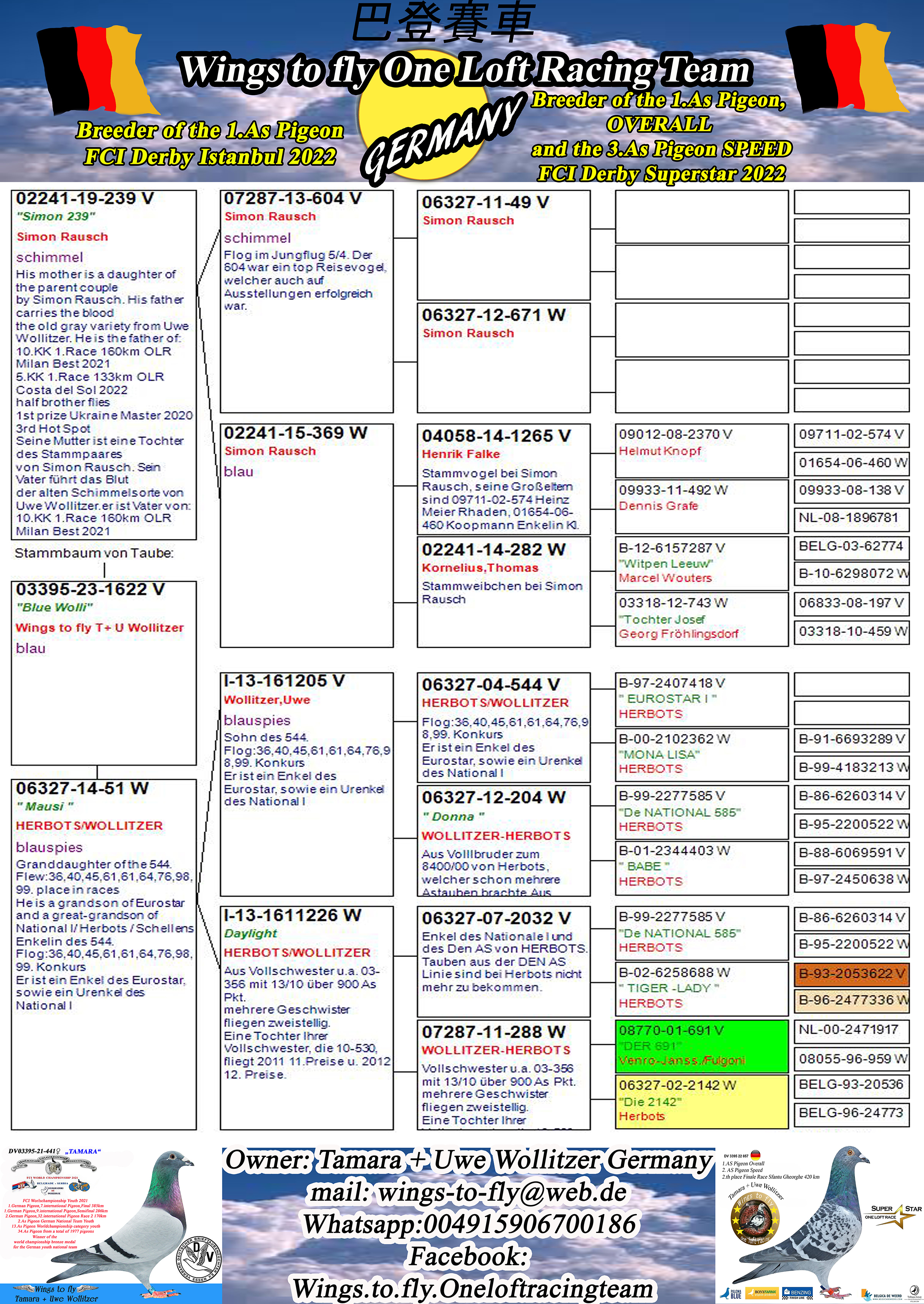 Pigeon pedigree image