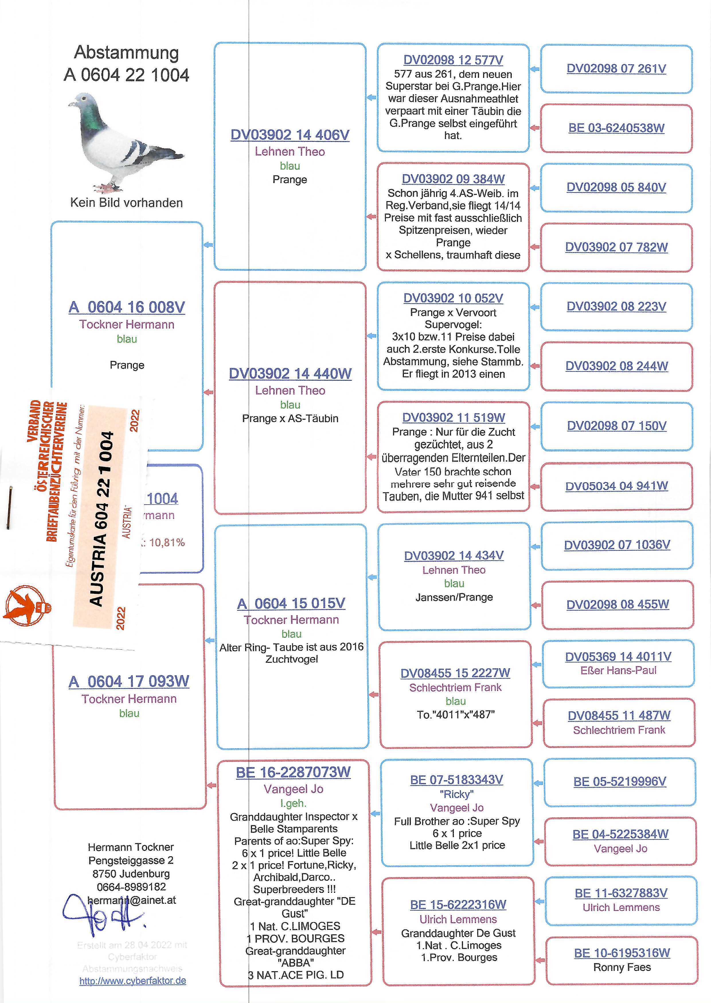Pigeon pedigree image