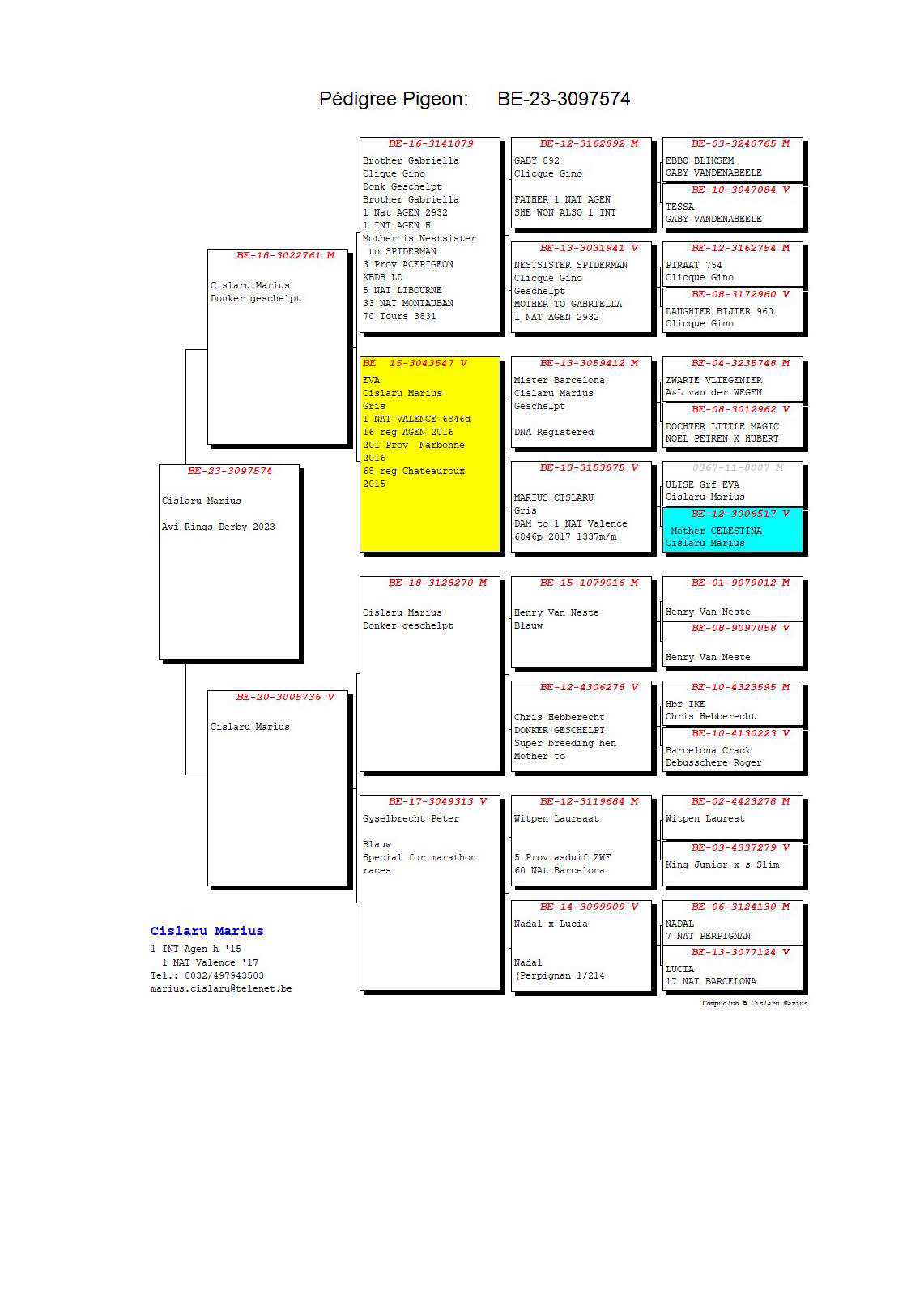 Pigeon pedigree image