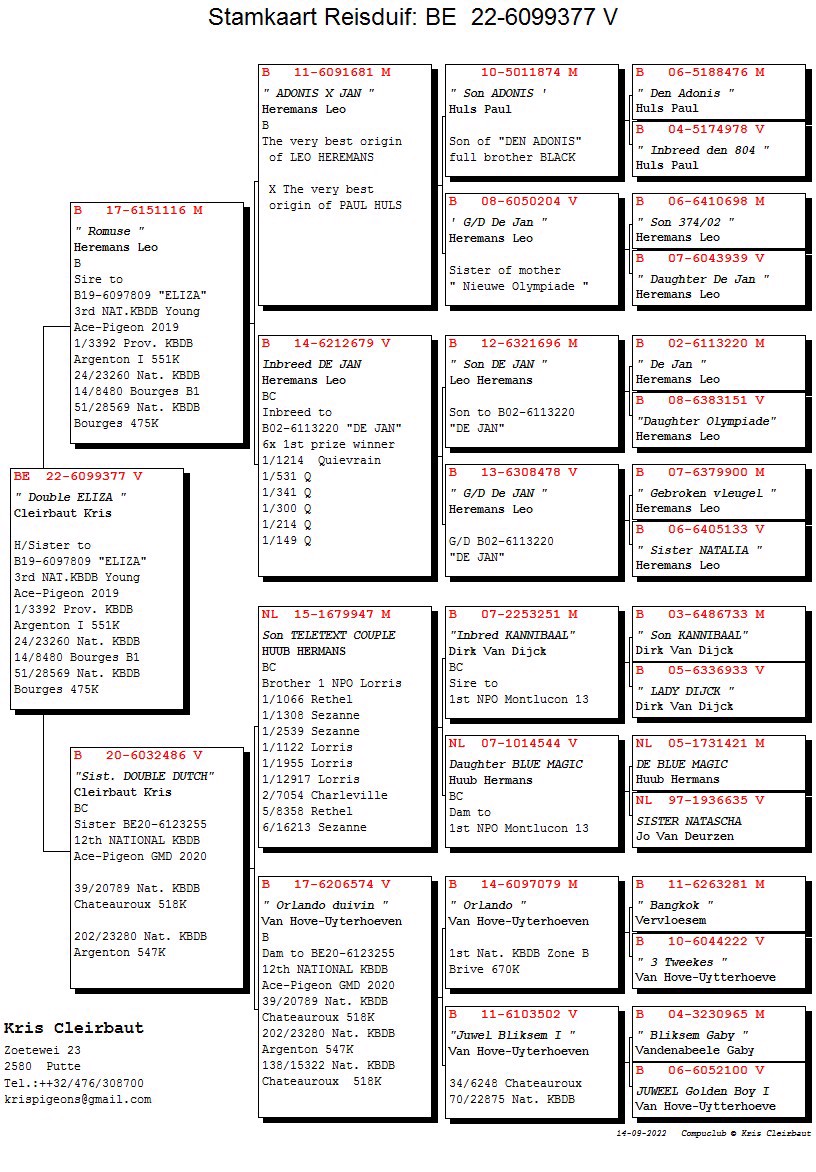 Pigeon pedigree image