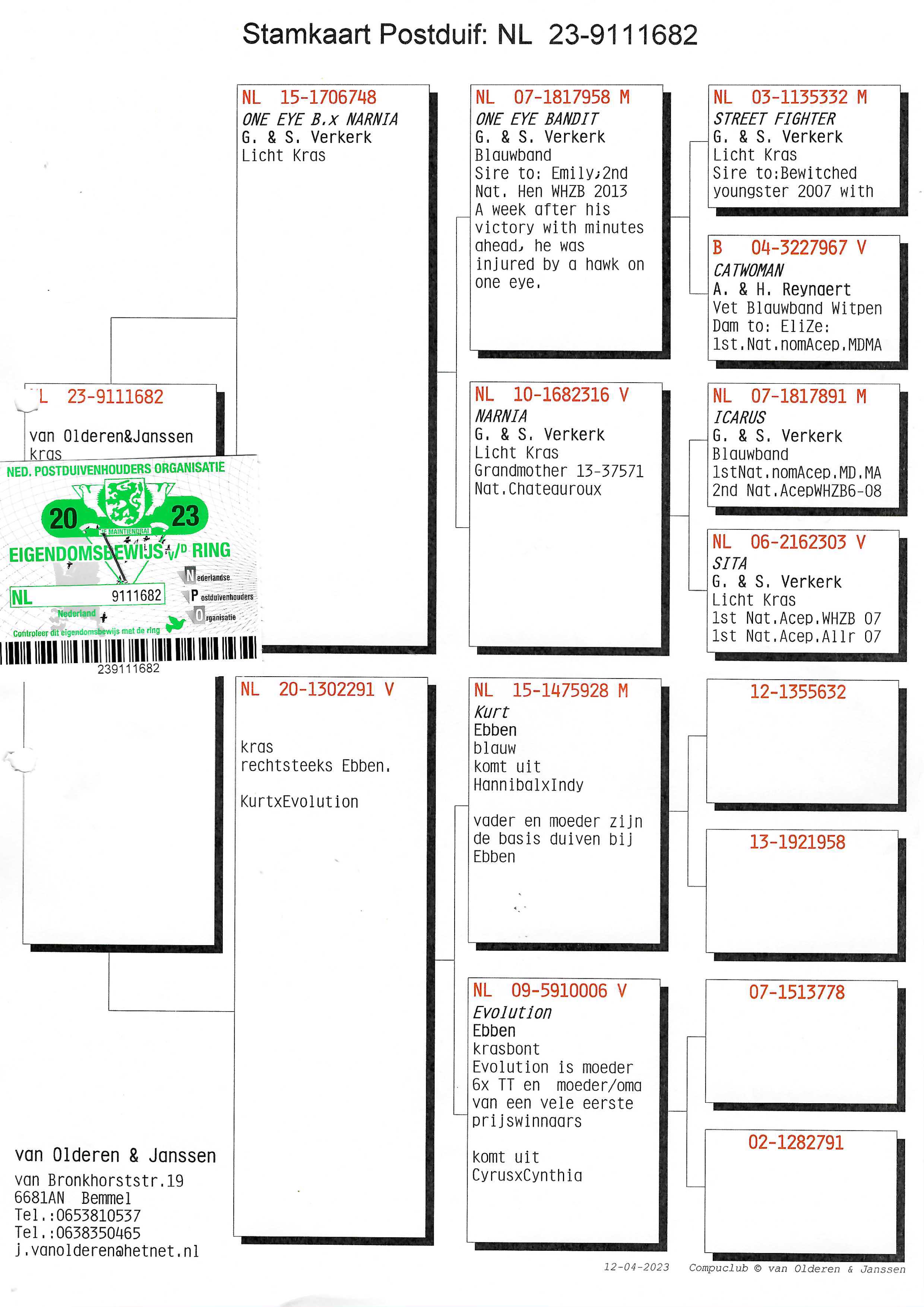 Pigeon pedigree image