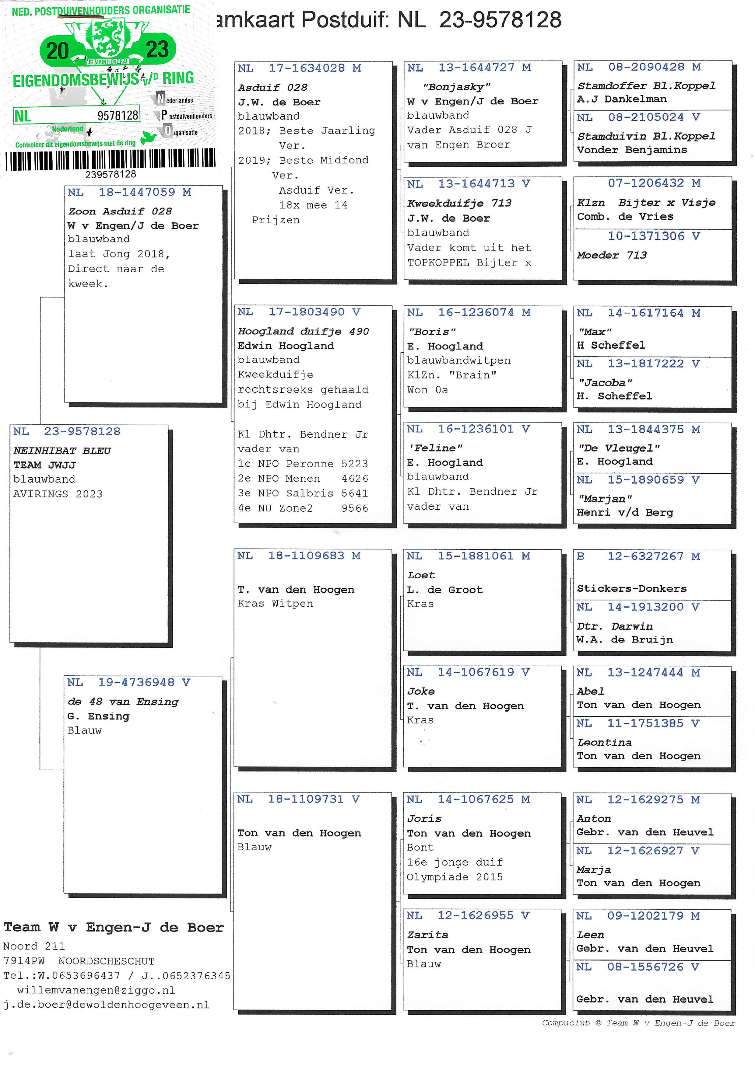 Pigeon pedigree image