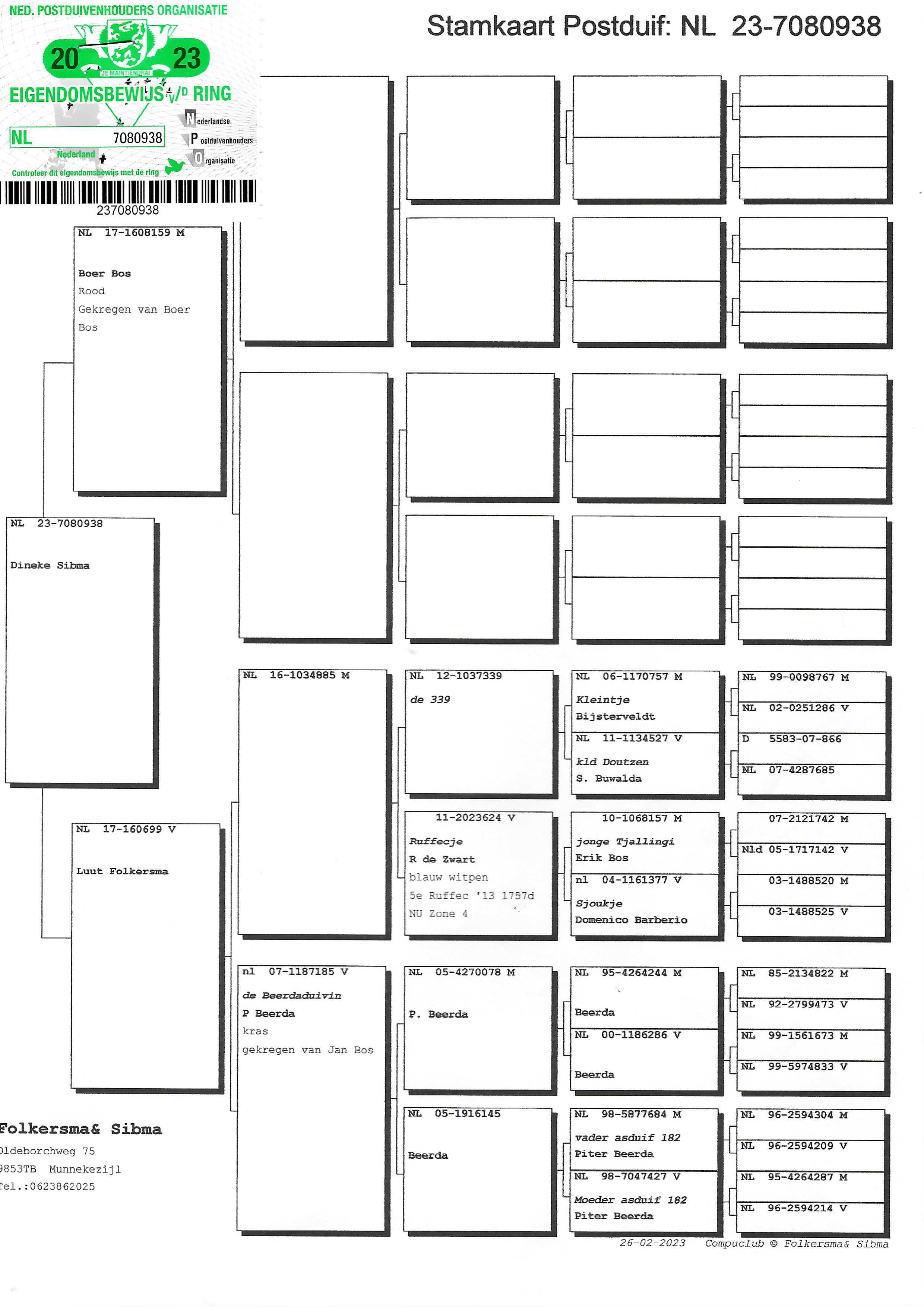 Pigeon pedigree image