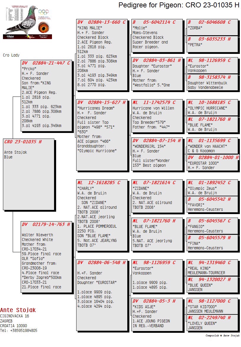 Pigeon pedigree image