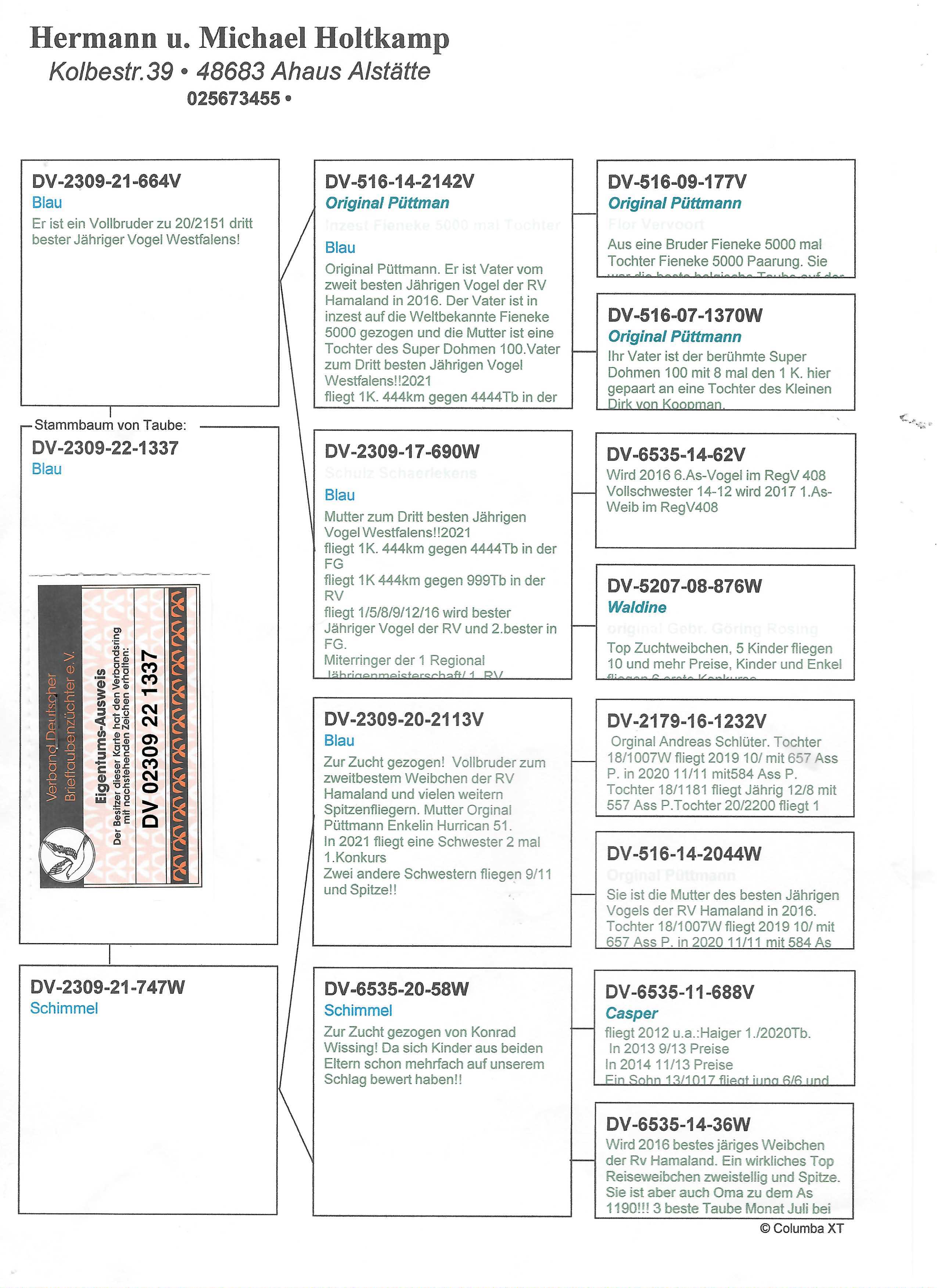 Pigeon pedigree image