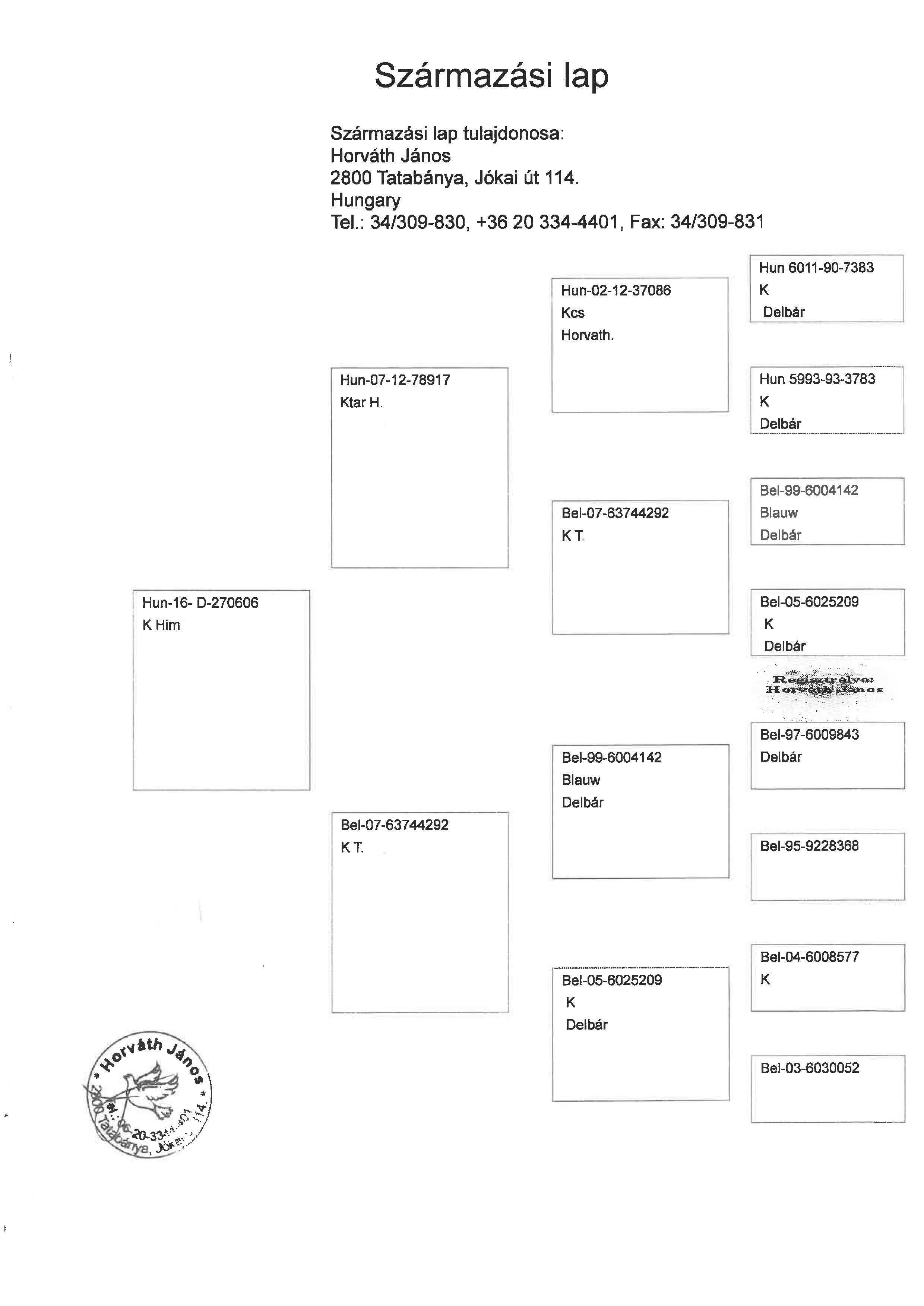 Pigeon pedigree image