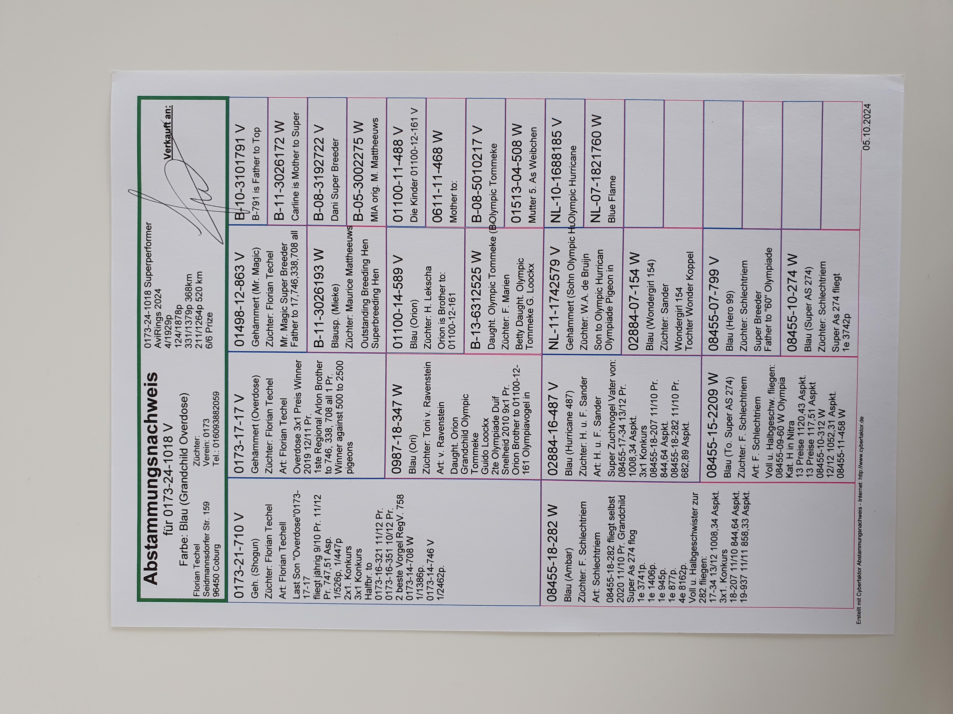 Pigeon pedigree image