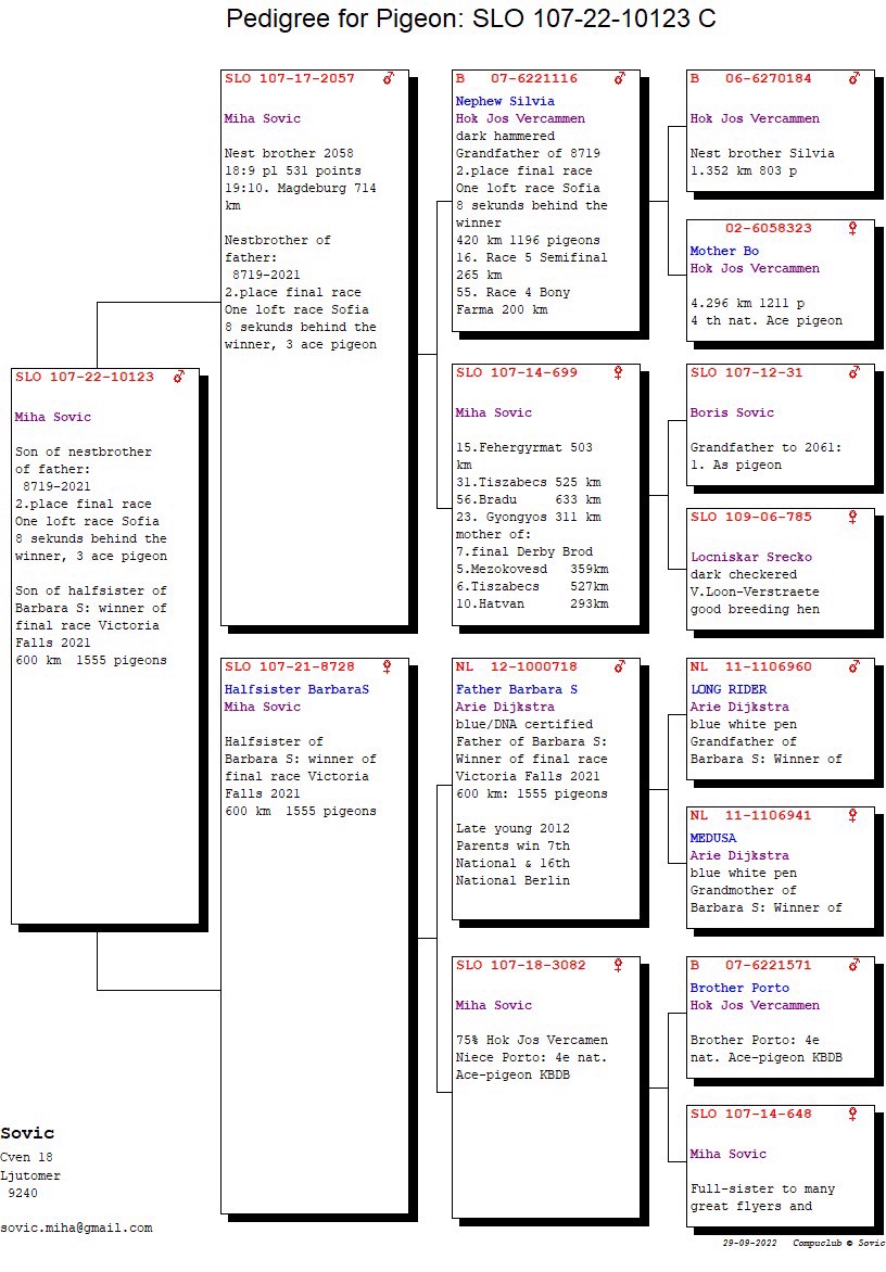 Pigeon pedigree image
