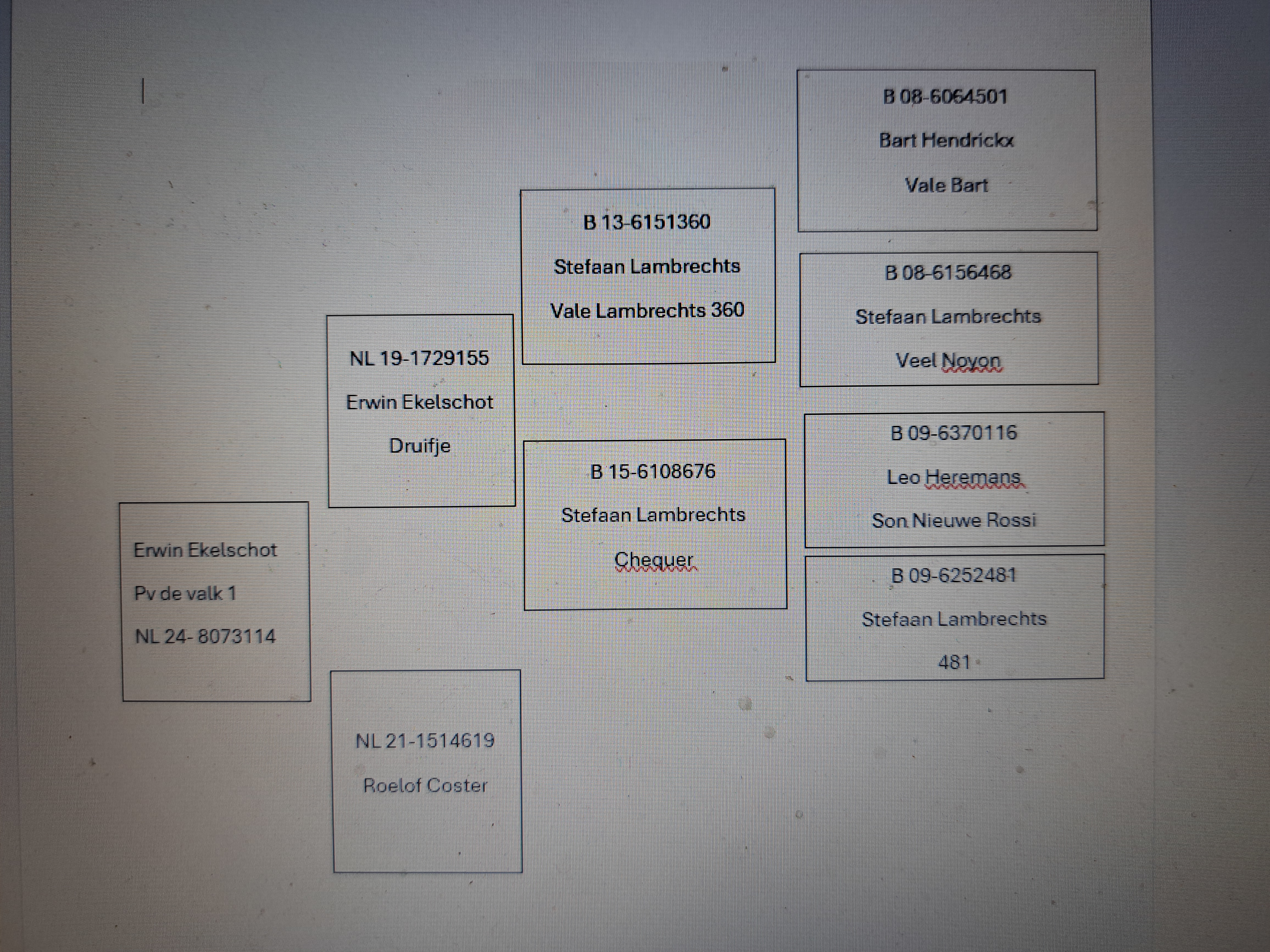 Pigeon pedigree image