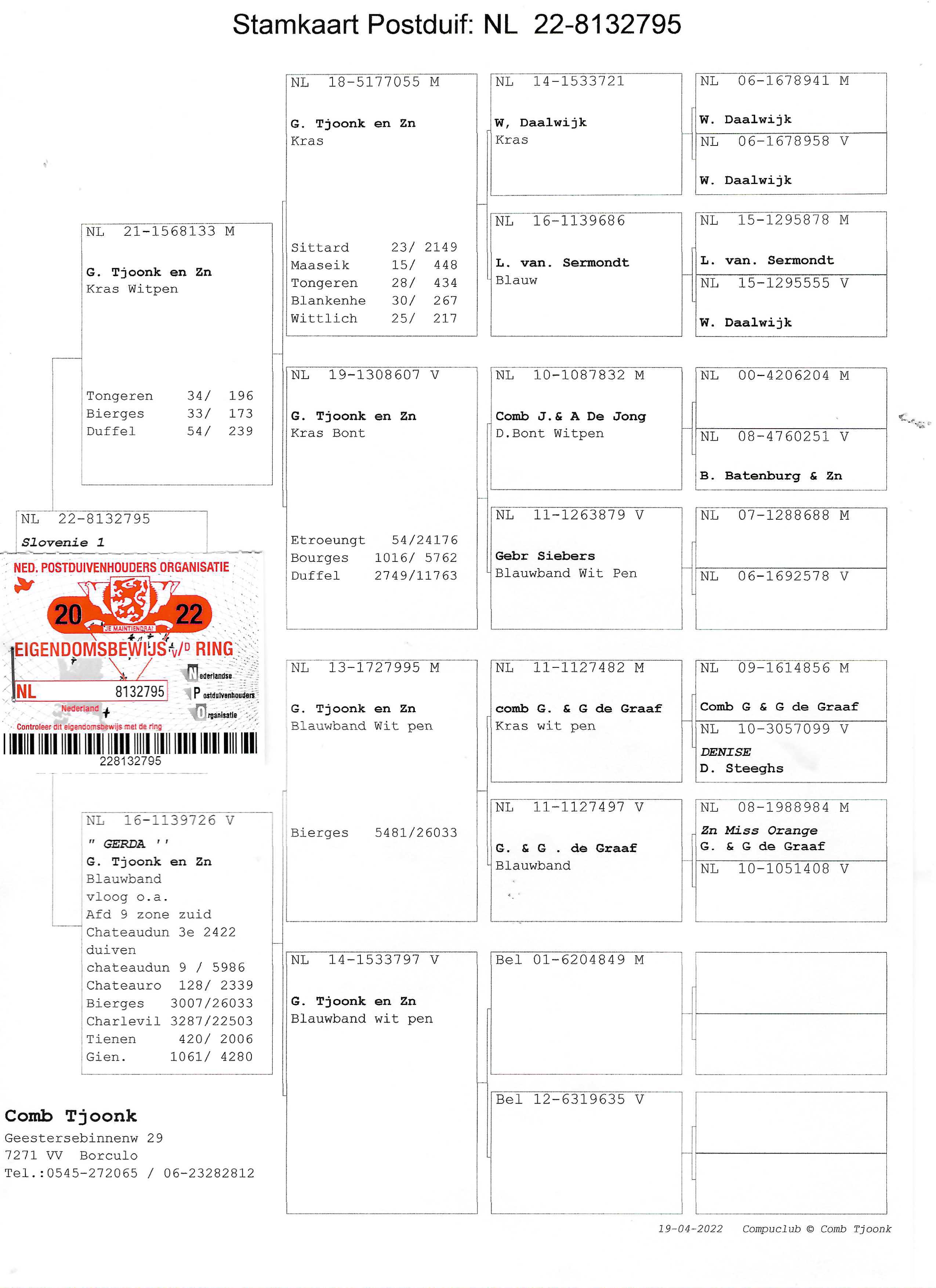 Pigeon pedigree image