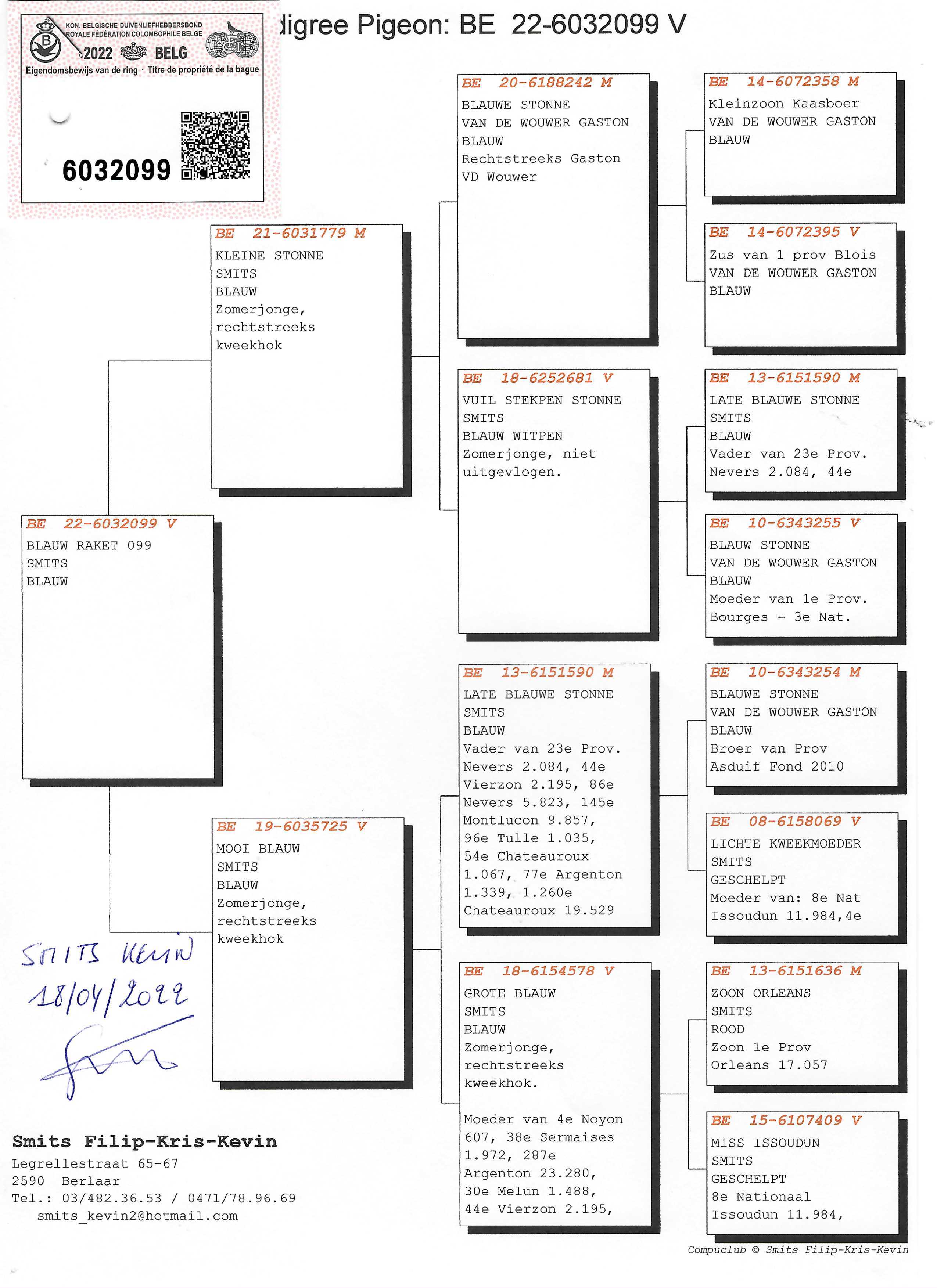 Pigeon pedigree image