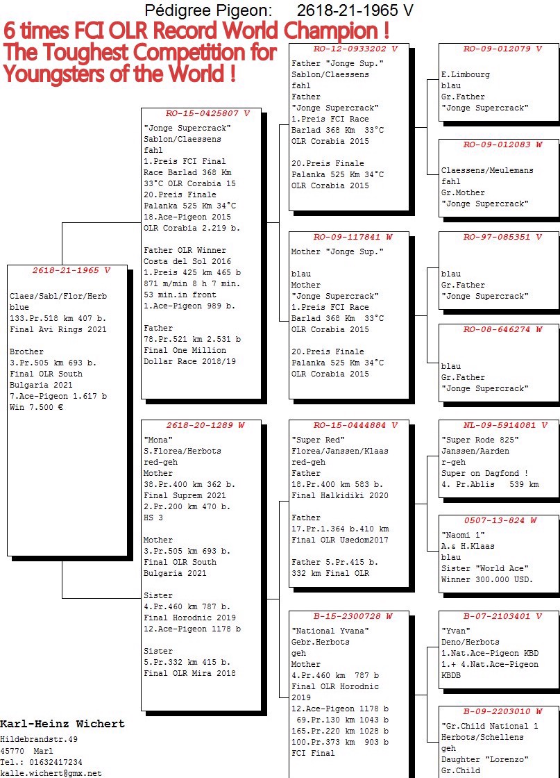 Pigeon pedigree image