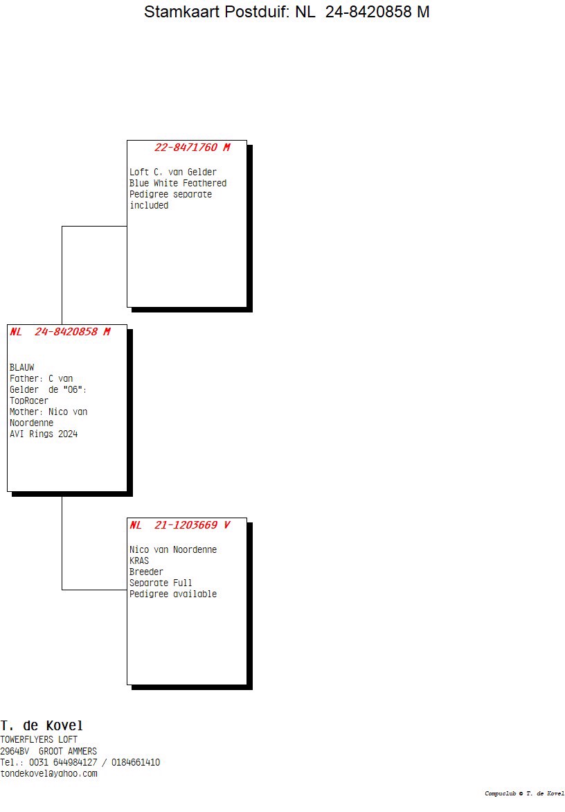 Pigeon pedigree image