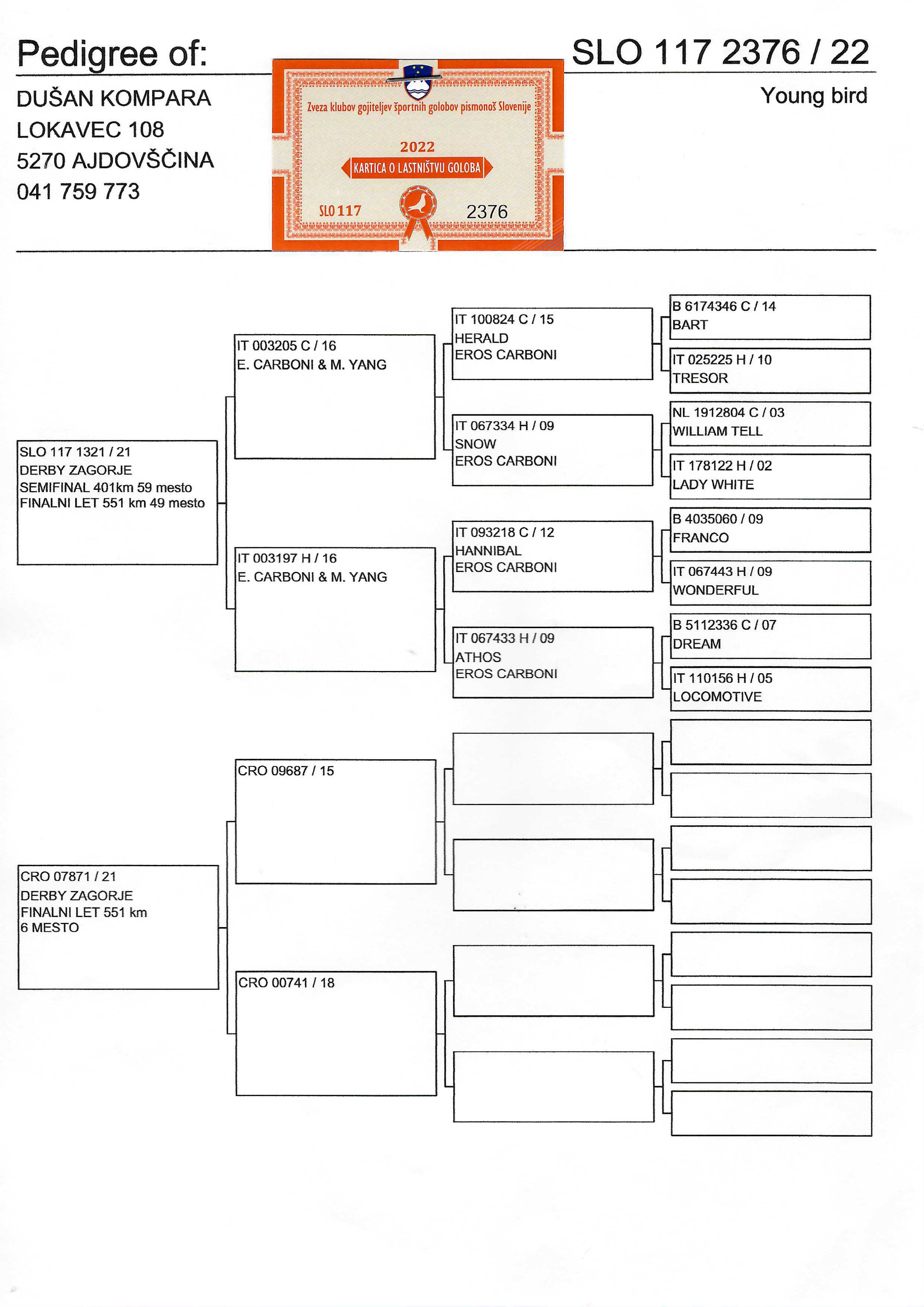 Pigeon pedigree image