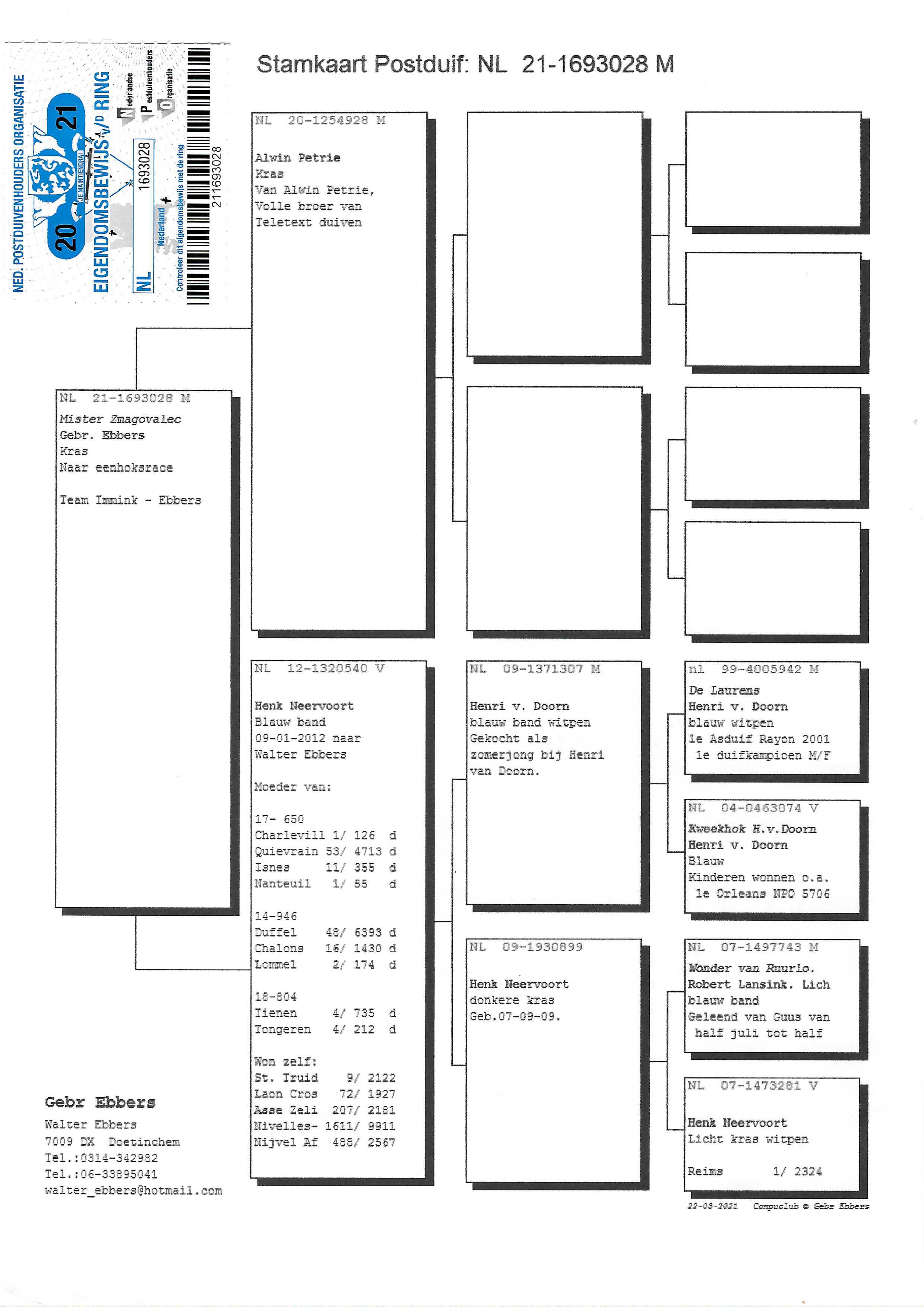 Pigeon pedigree image