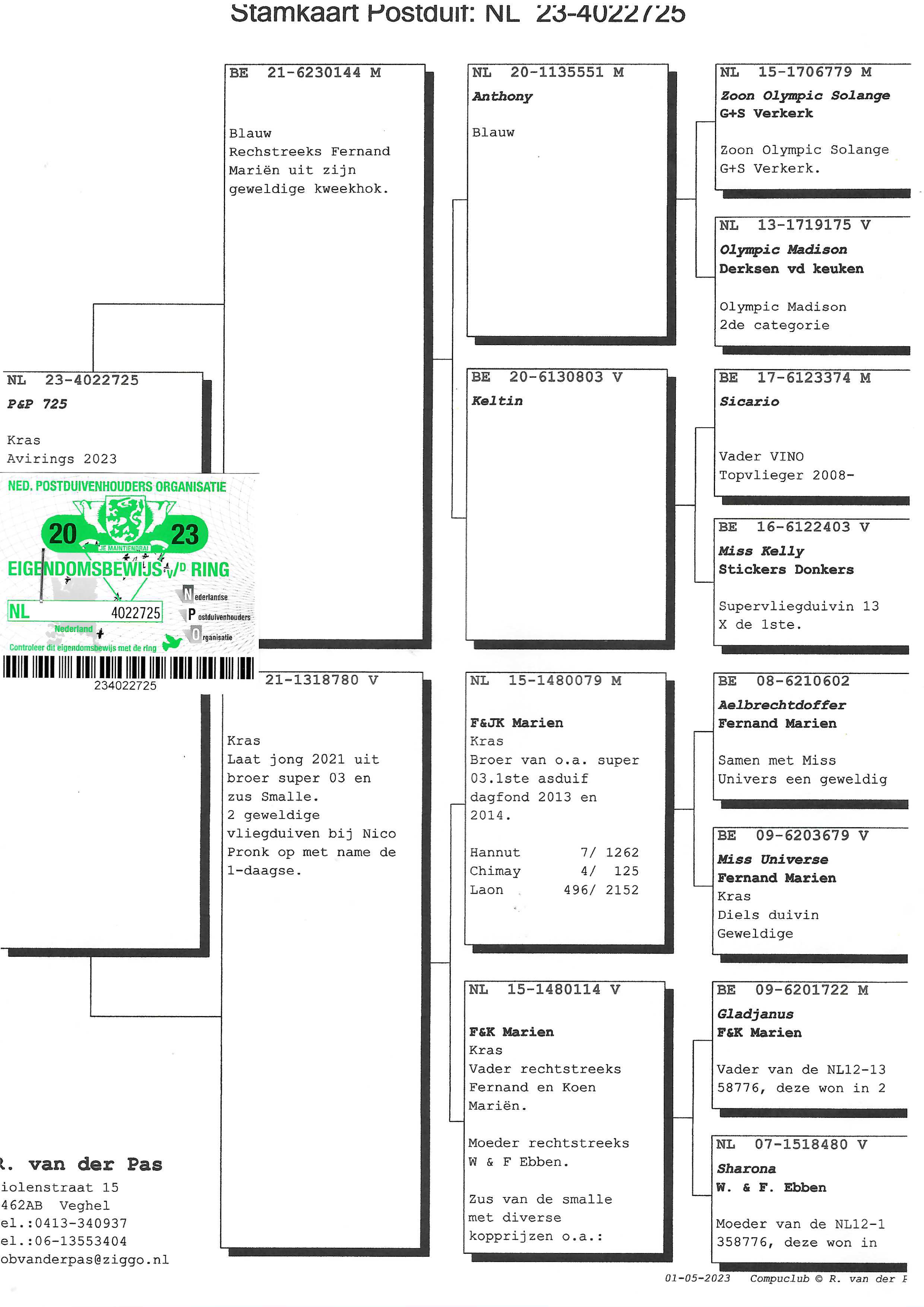 Pigeon pedigree image