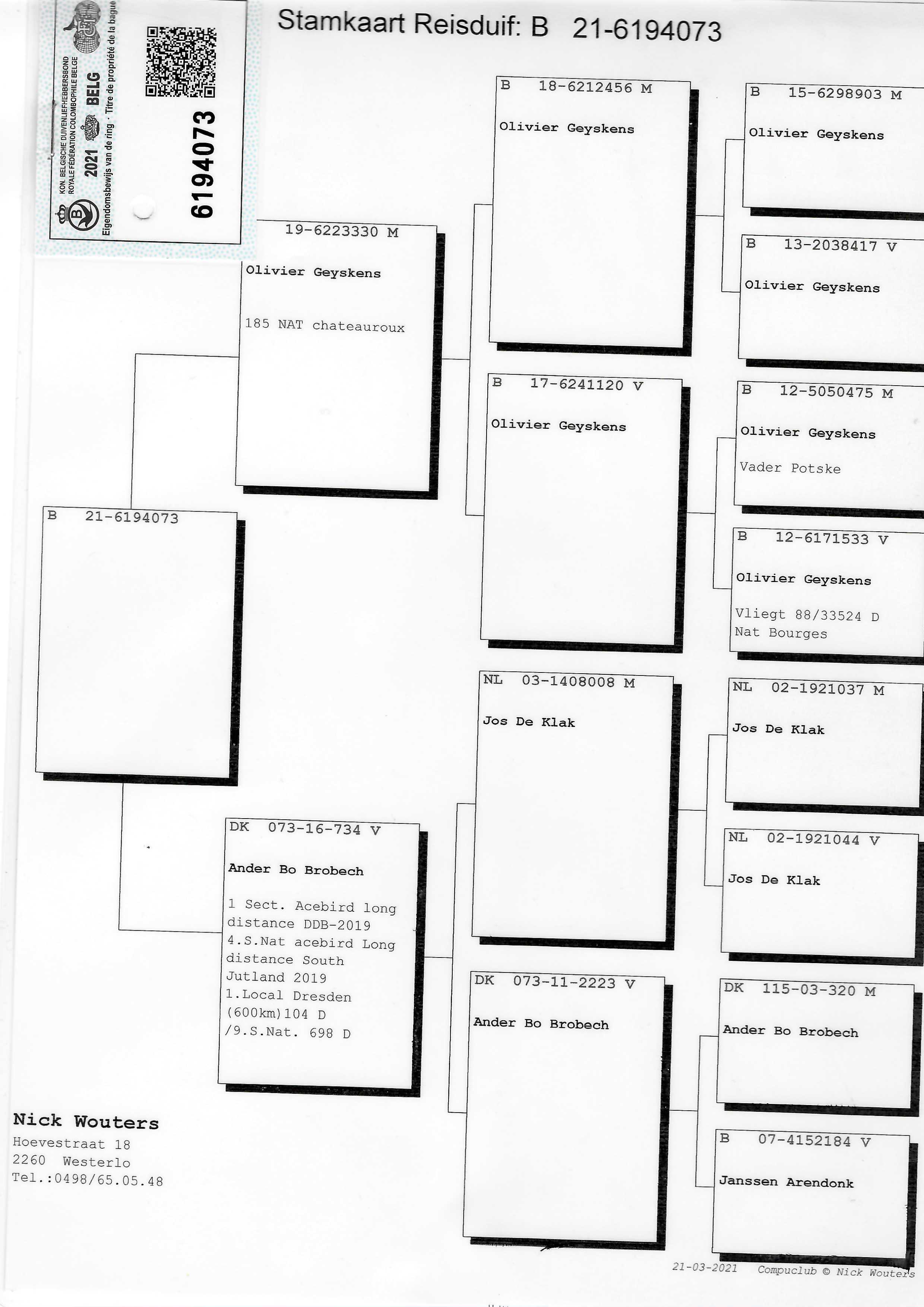 Pigeon pedigree image